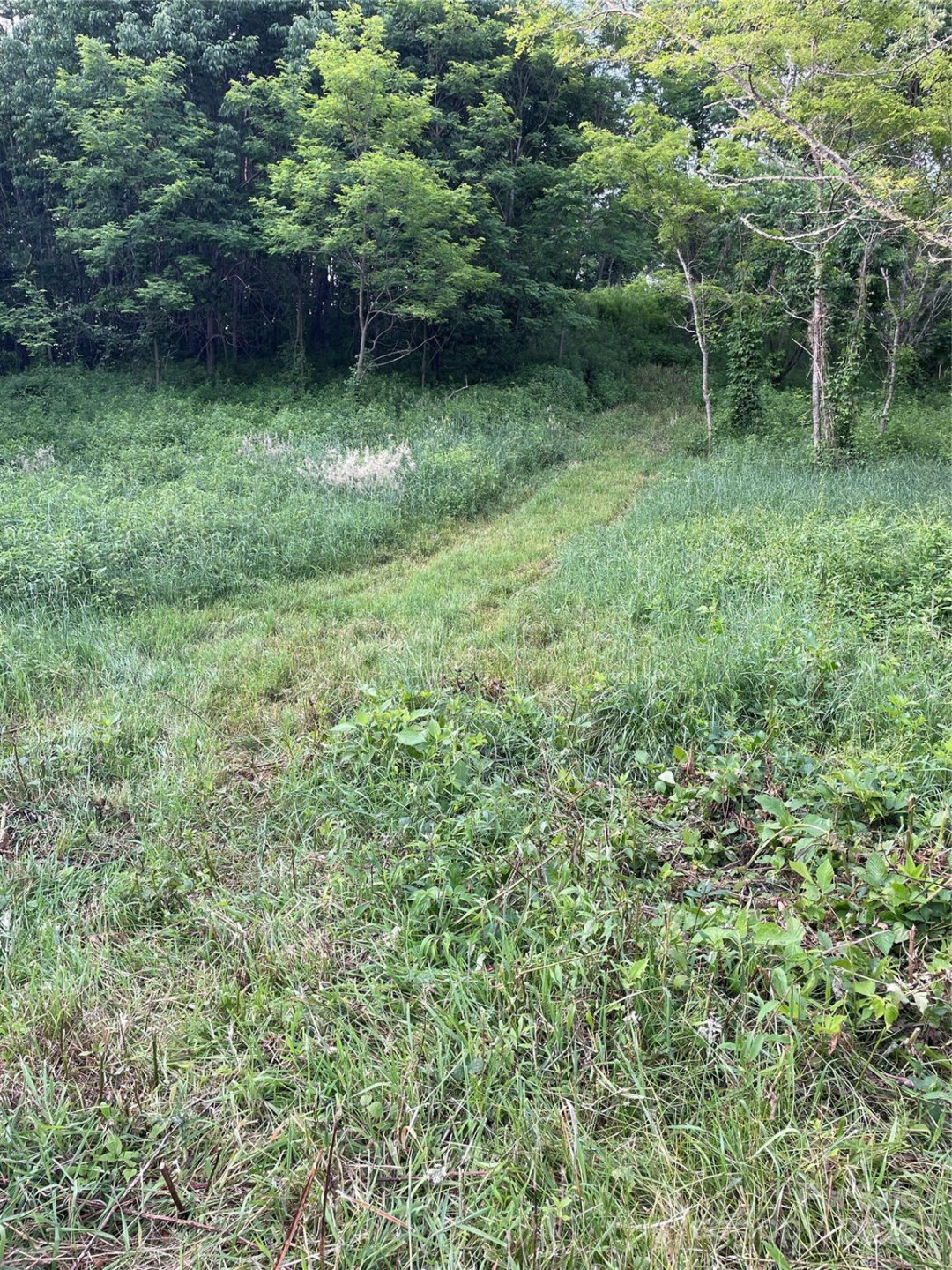 Tract 2 Turkey Trot Road - Photo 18