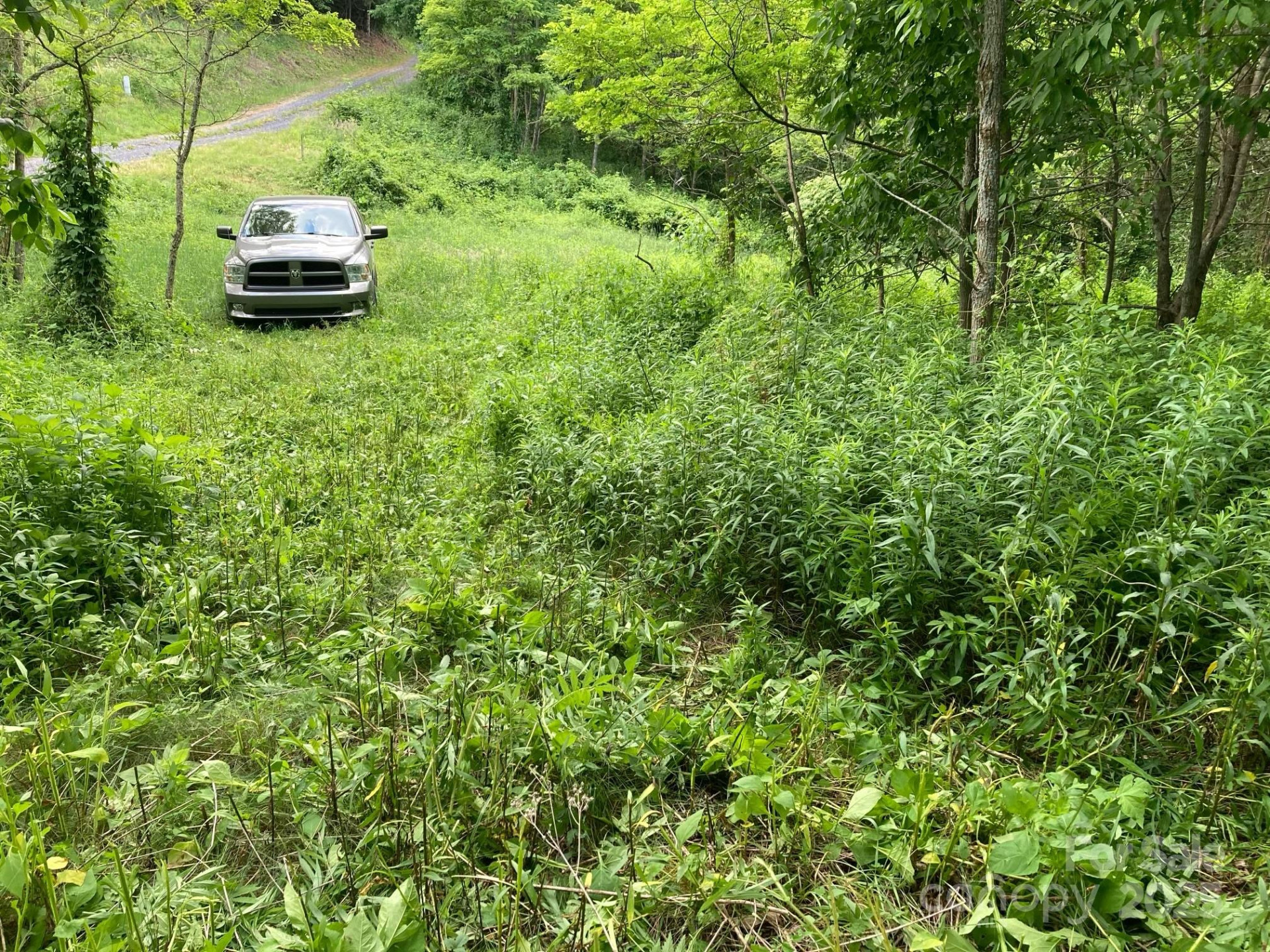 Tract 2 Turkey Trot Road - Photo 20