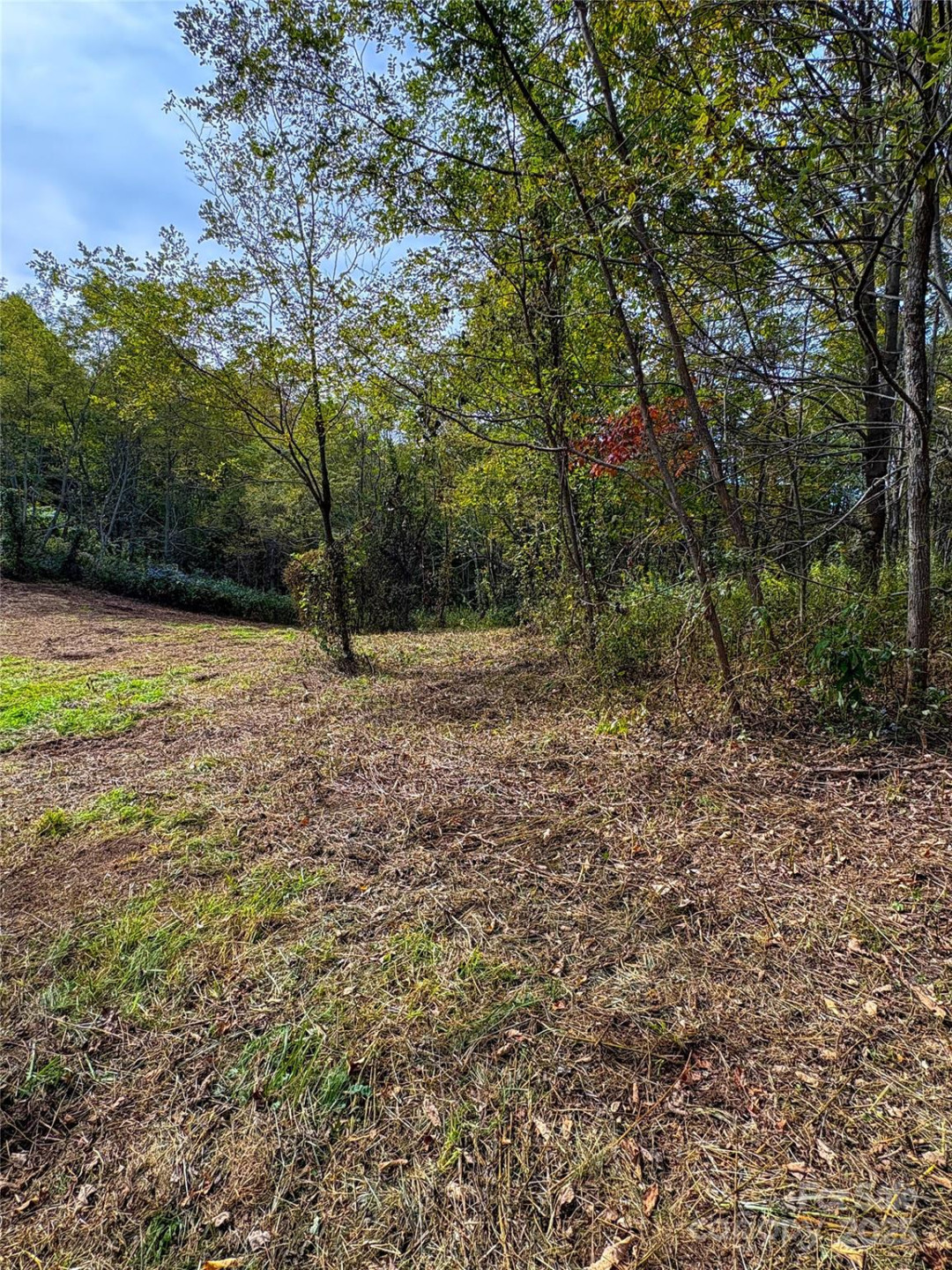 Tract 2 Turkey Trot Road - Photo 3