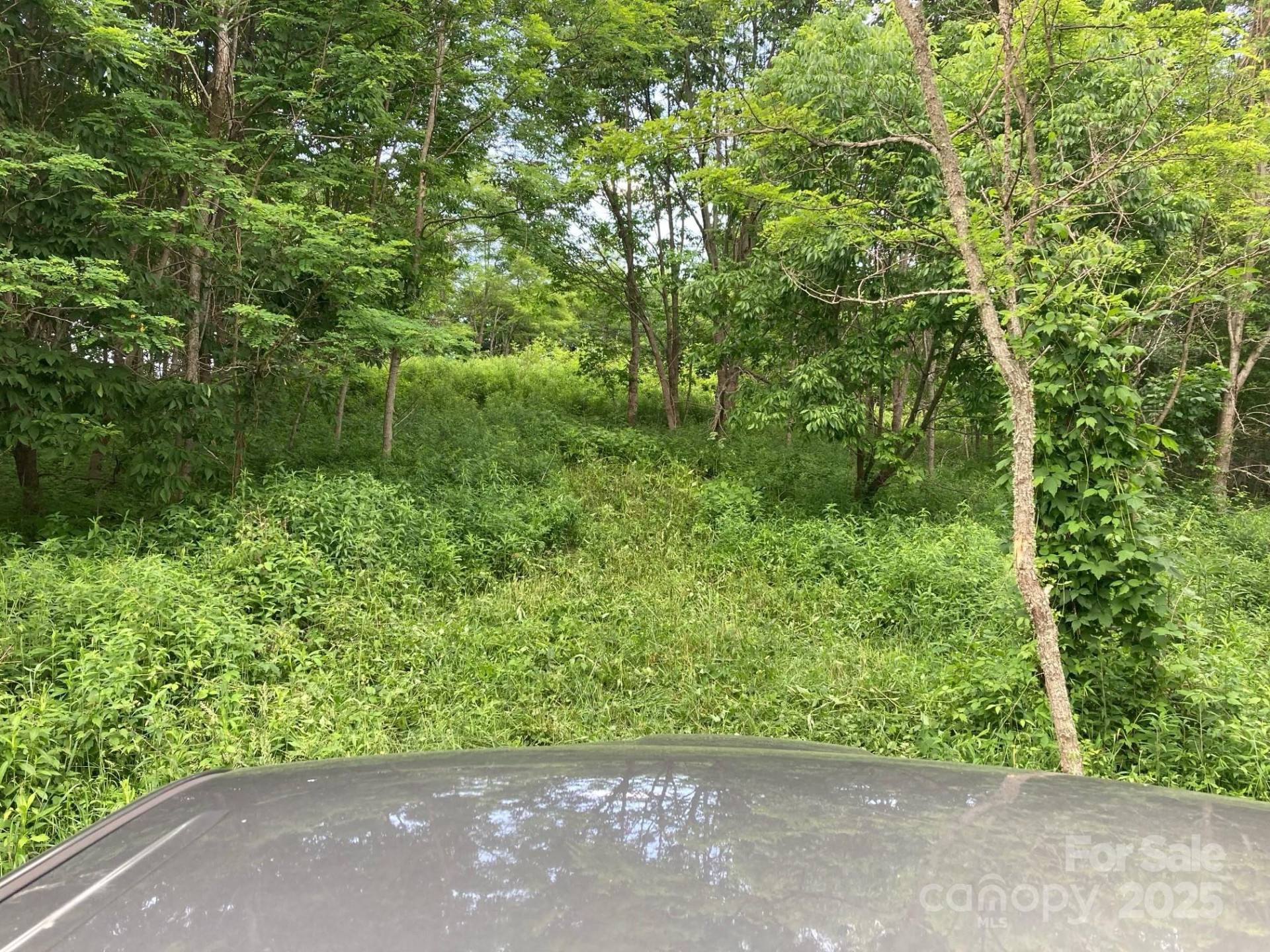 Tract 2 Turkey Trot Road - Photo 21