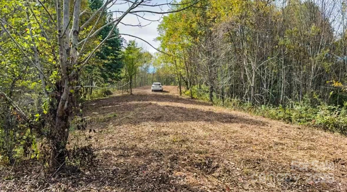 Tract 2 Turkey Trot Road - Photo 24