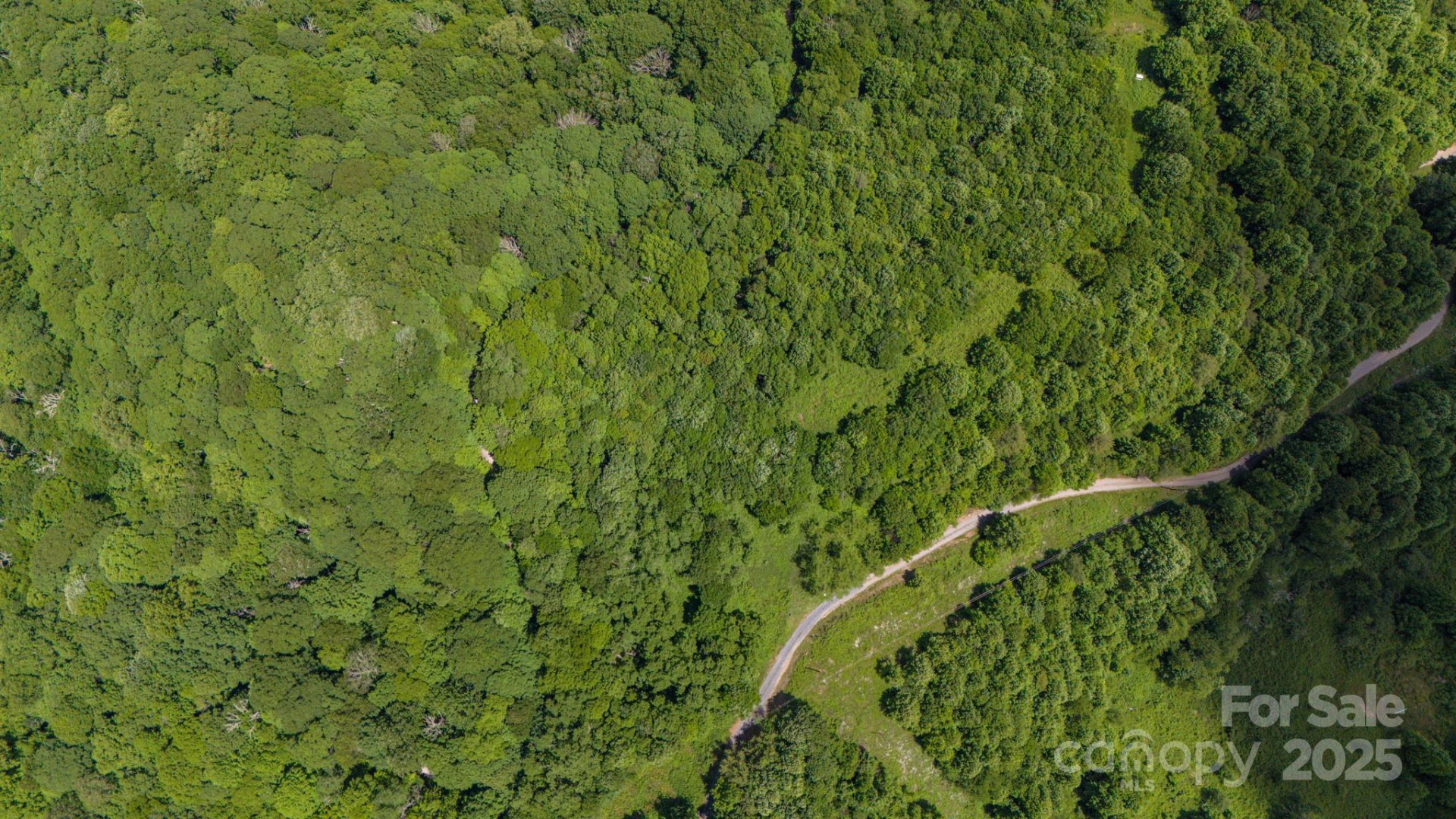 Tract 2 Turkey Trot Road - Photo 27