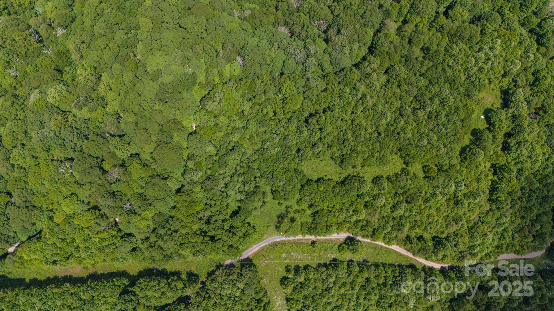 Tract 2 Turkey Trot Road - Photo 28