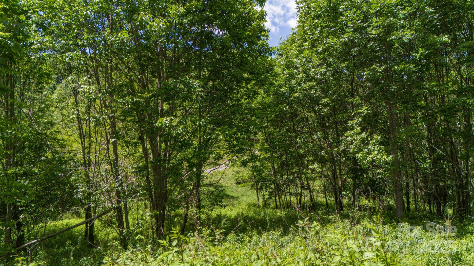 Tract 2 Turkey Trot Road - Photo 29