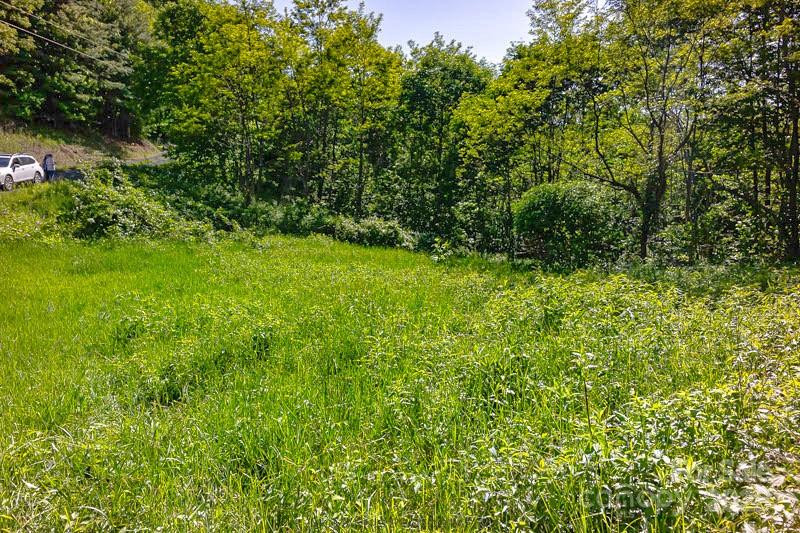 Tract 2 Turkey Trot Road - Photo 30