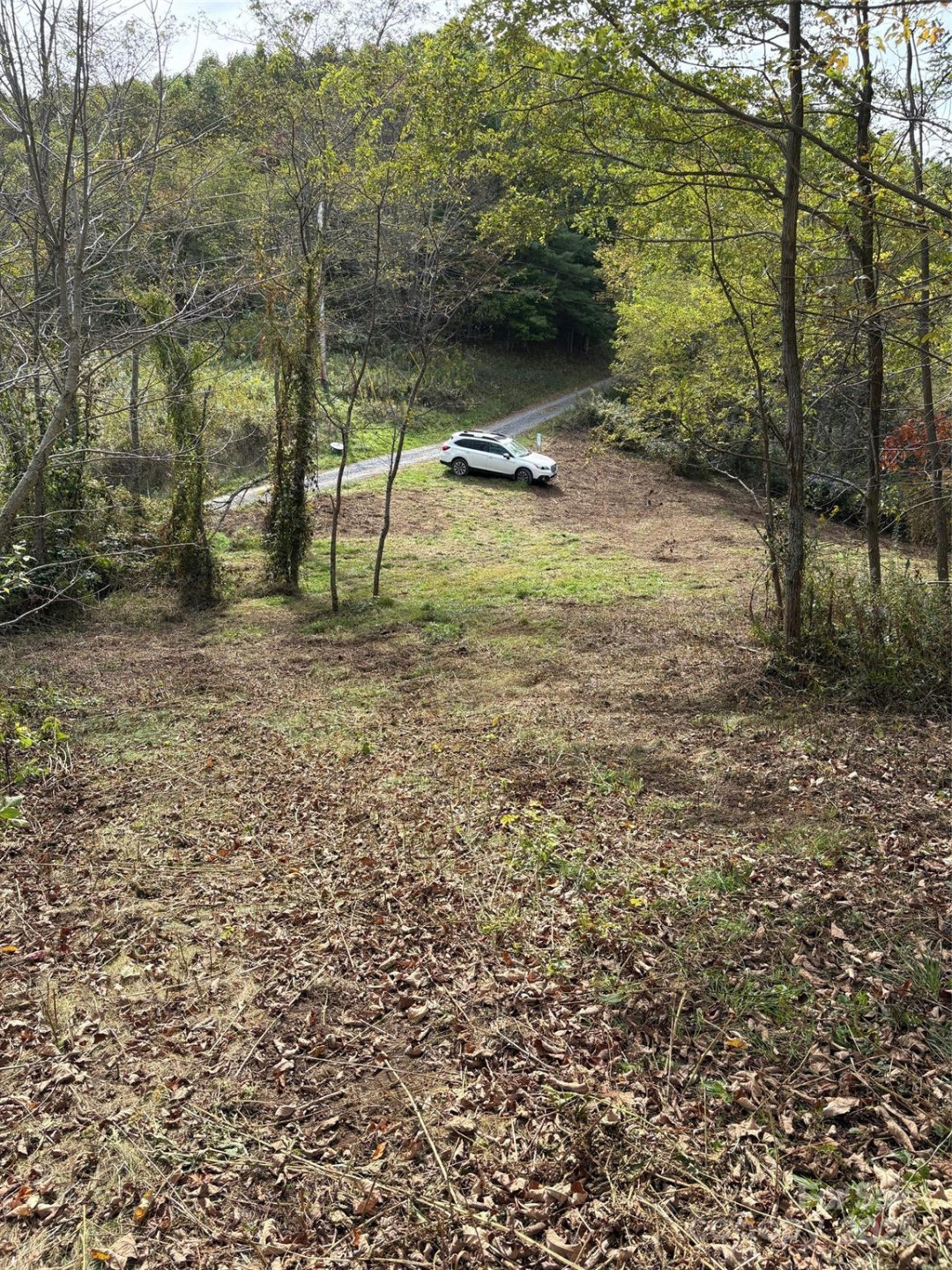 Tract 2 Turkey Trot Road - Photo 4