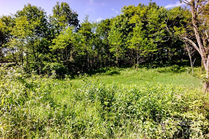 Tract 2 Turkey Trot Road - Photo 31