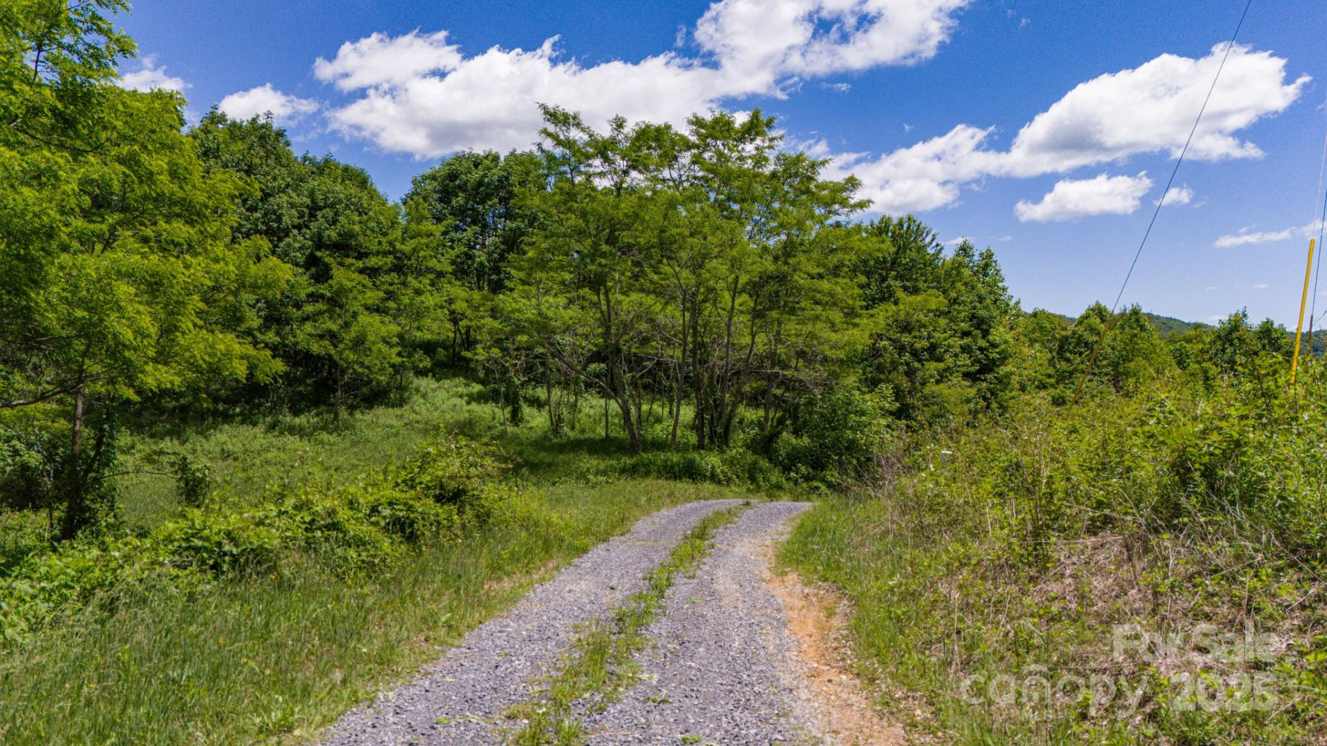 Tract 2 Turkey Trot Road - Photo 32