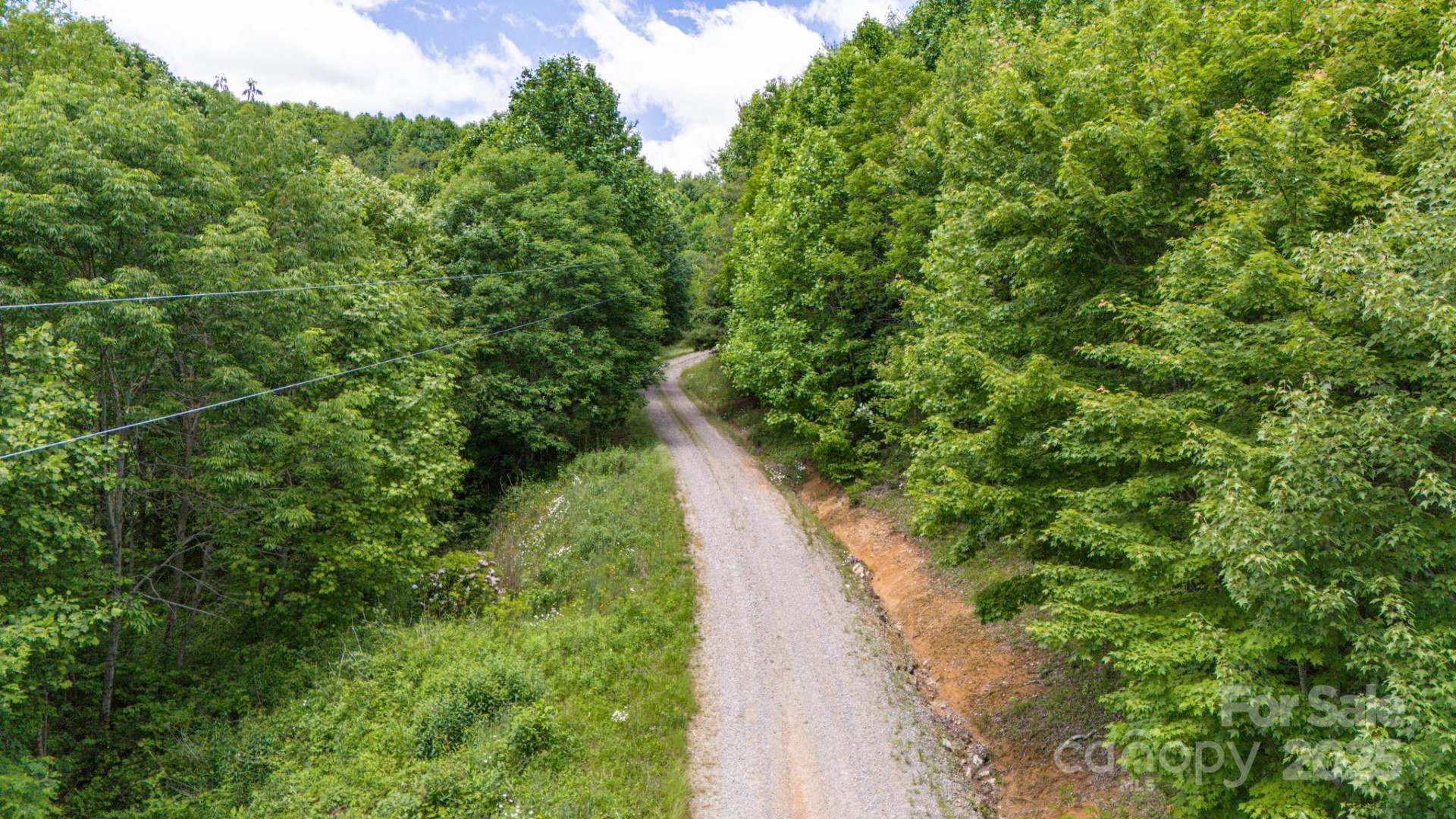 Tract 2 Turkey Trot Road - Photo 33