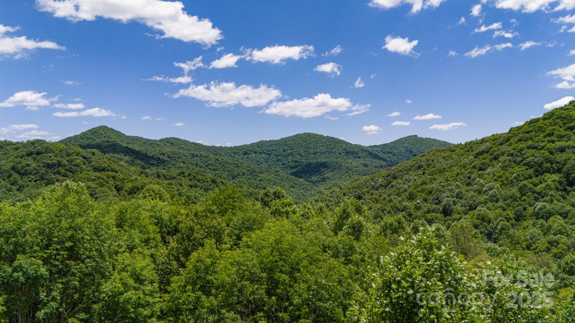 Tract 2 Turkey Trot Road - Photo 34