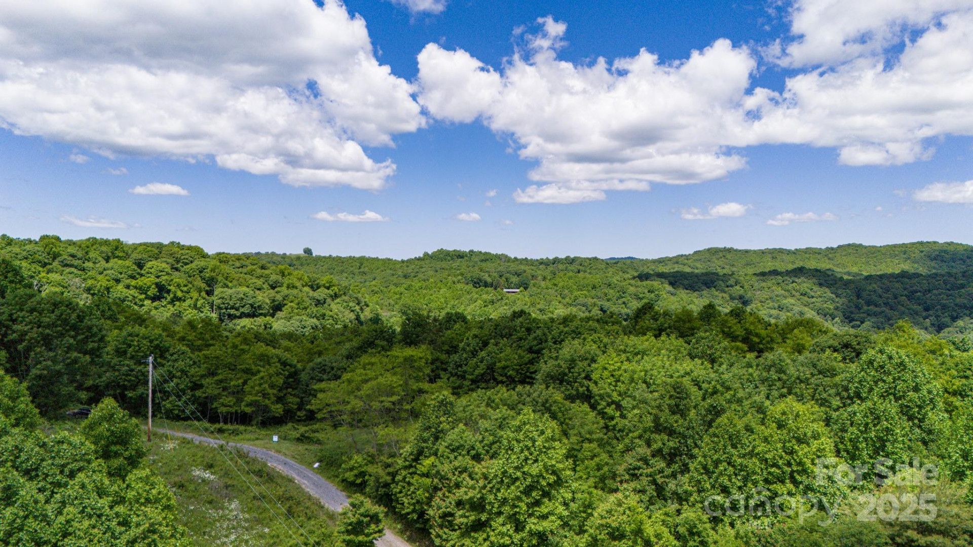 Tract 2 Turkey Trot Road - Photo 35