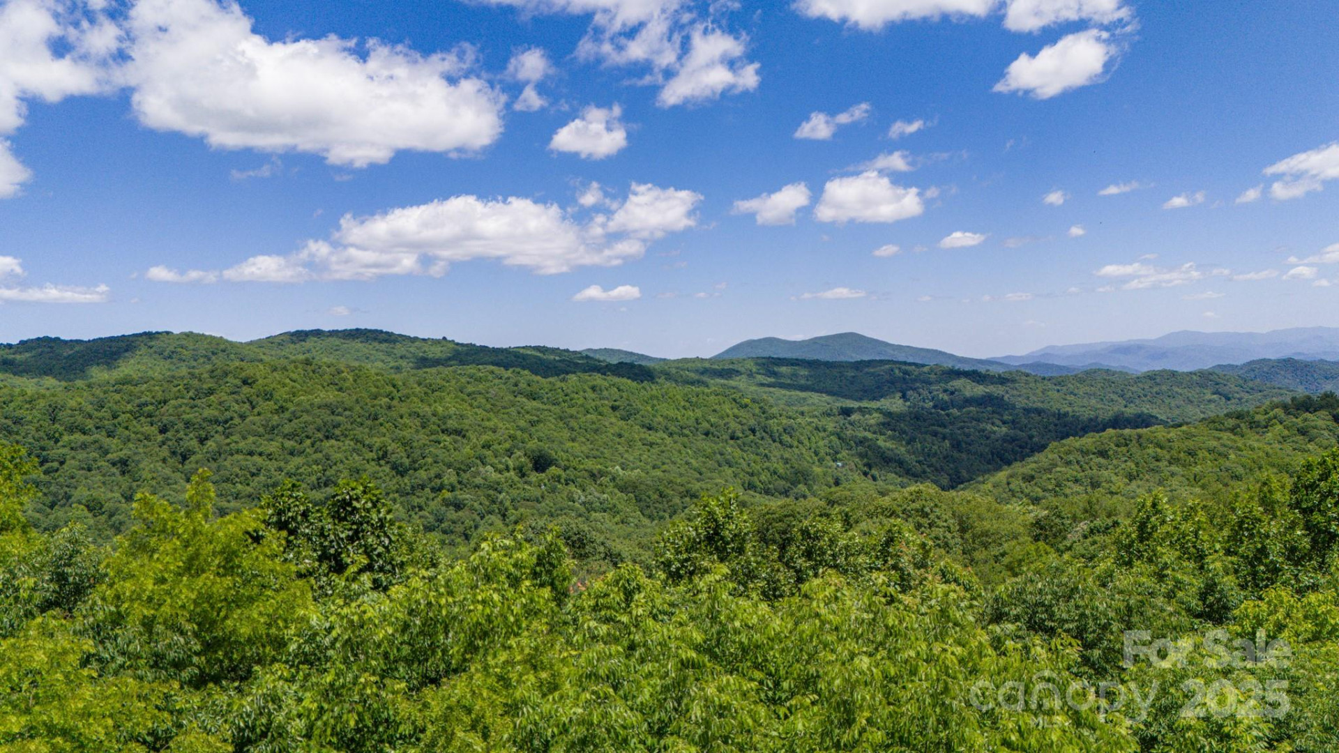 Tract 2 Turkey Trot Road - Photo 36