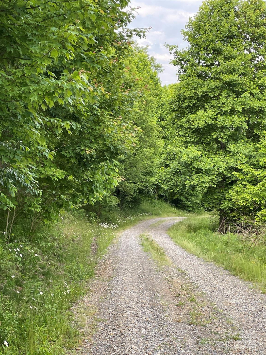 Tract 2 Turkey Trot Road - Photo 37