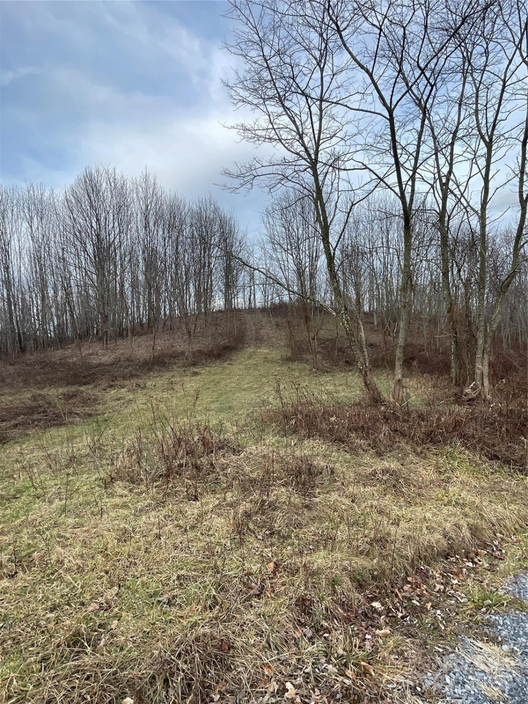 Tract 2 Turkey Trot Road - Photo 38