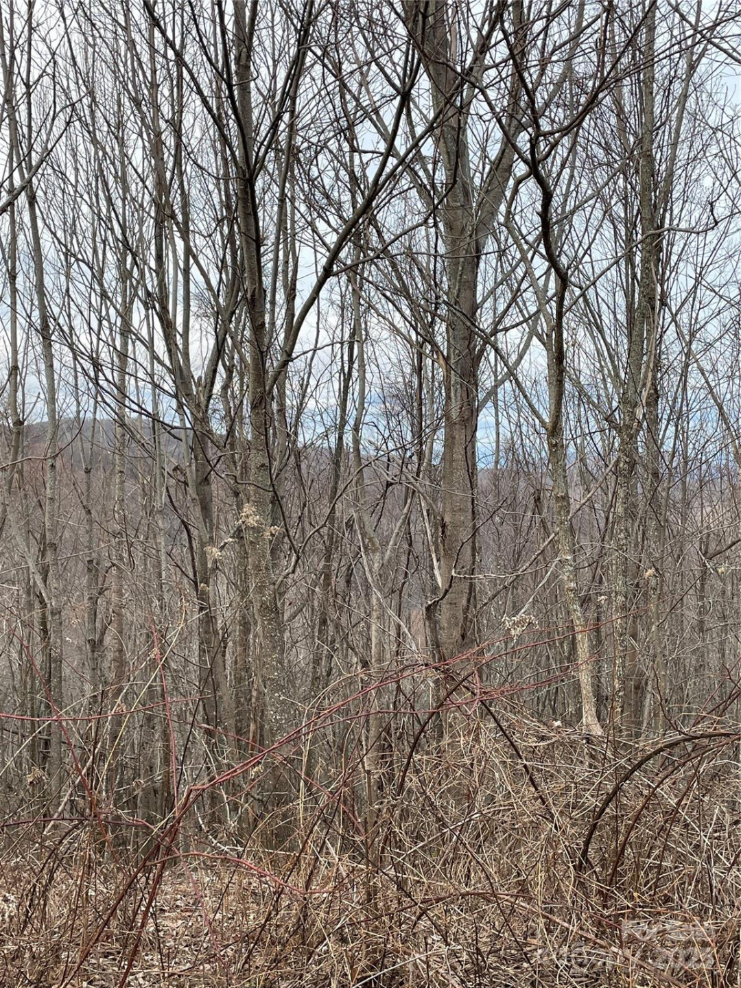 Tract 2 Turkey Trot Road - Photo 39