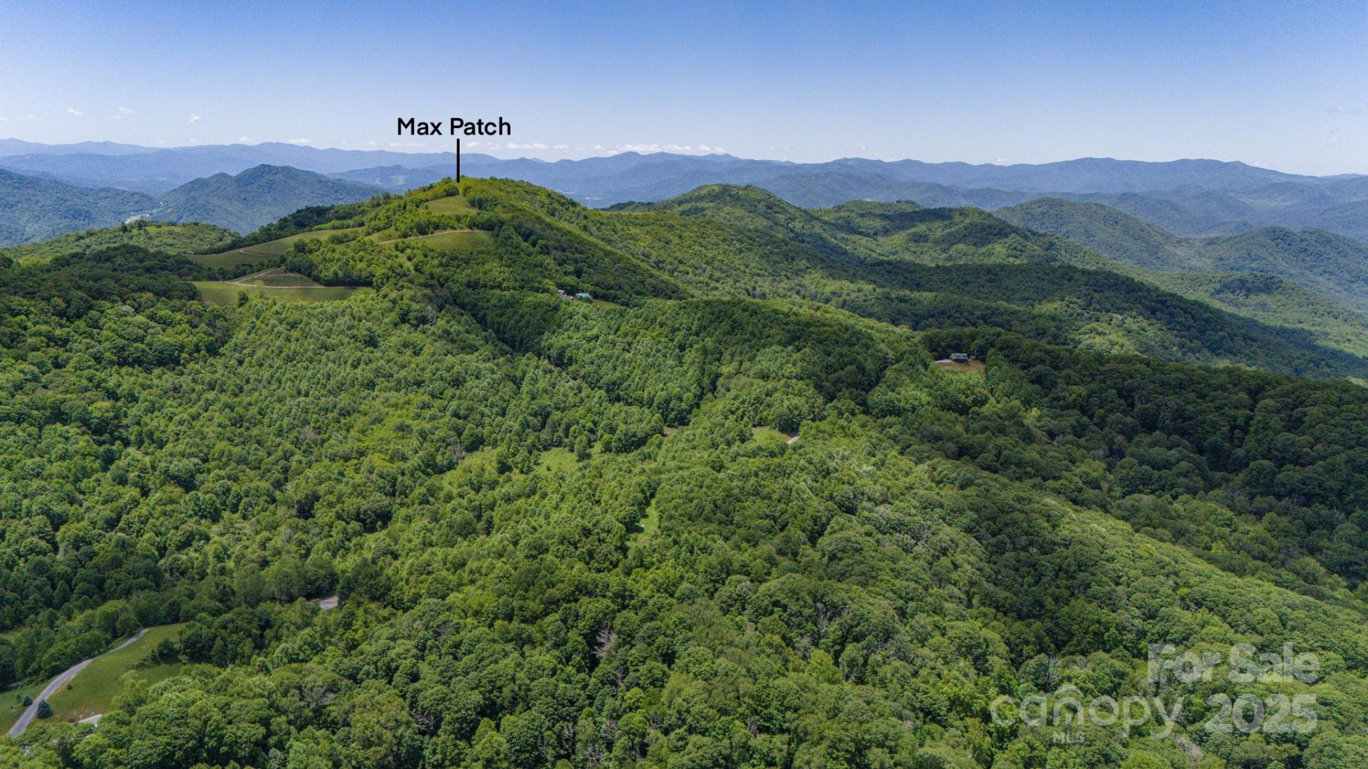 Tract 2 Turkey Trot Road - Photo 5