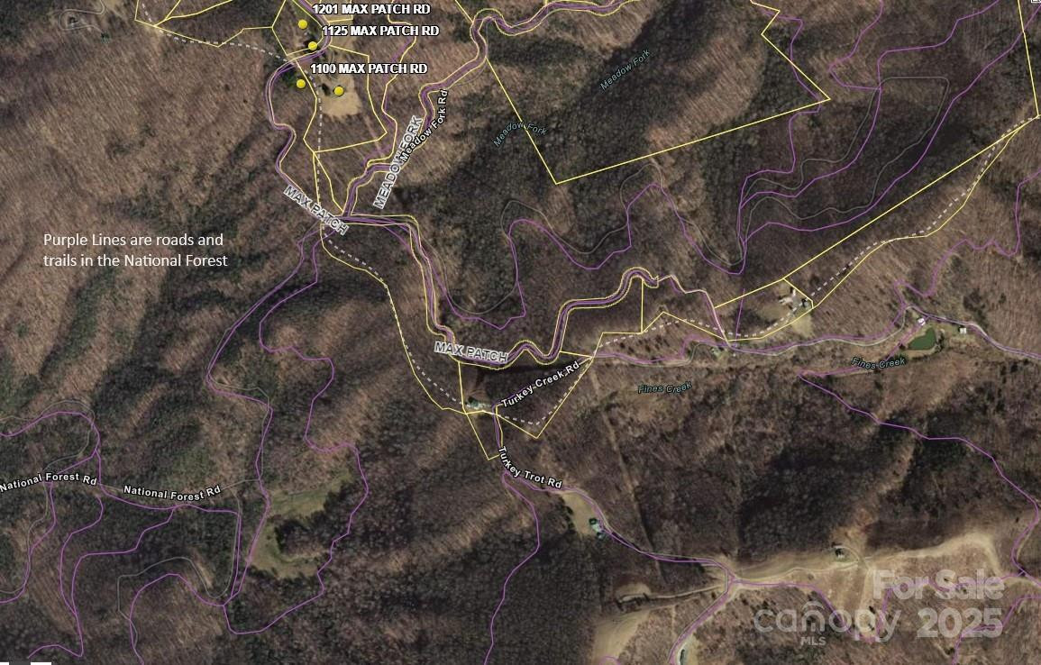 Tract 2 Turkey Trot Road - Photo 41