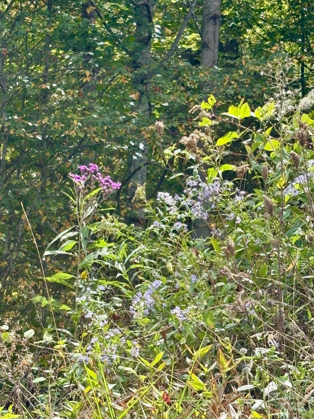 Tract 2 Turkey Trot Road - Photo 42