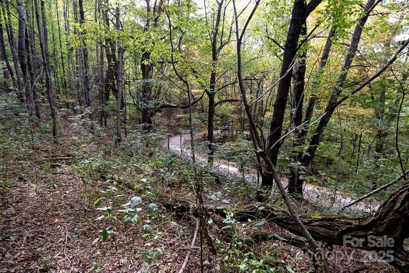 Tract 2 Turkey Trot Road - Photo 46