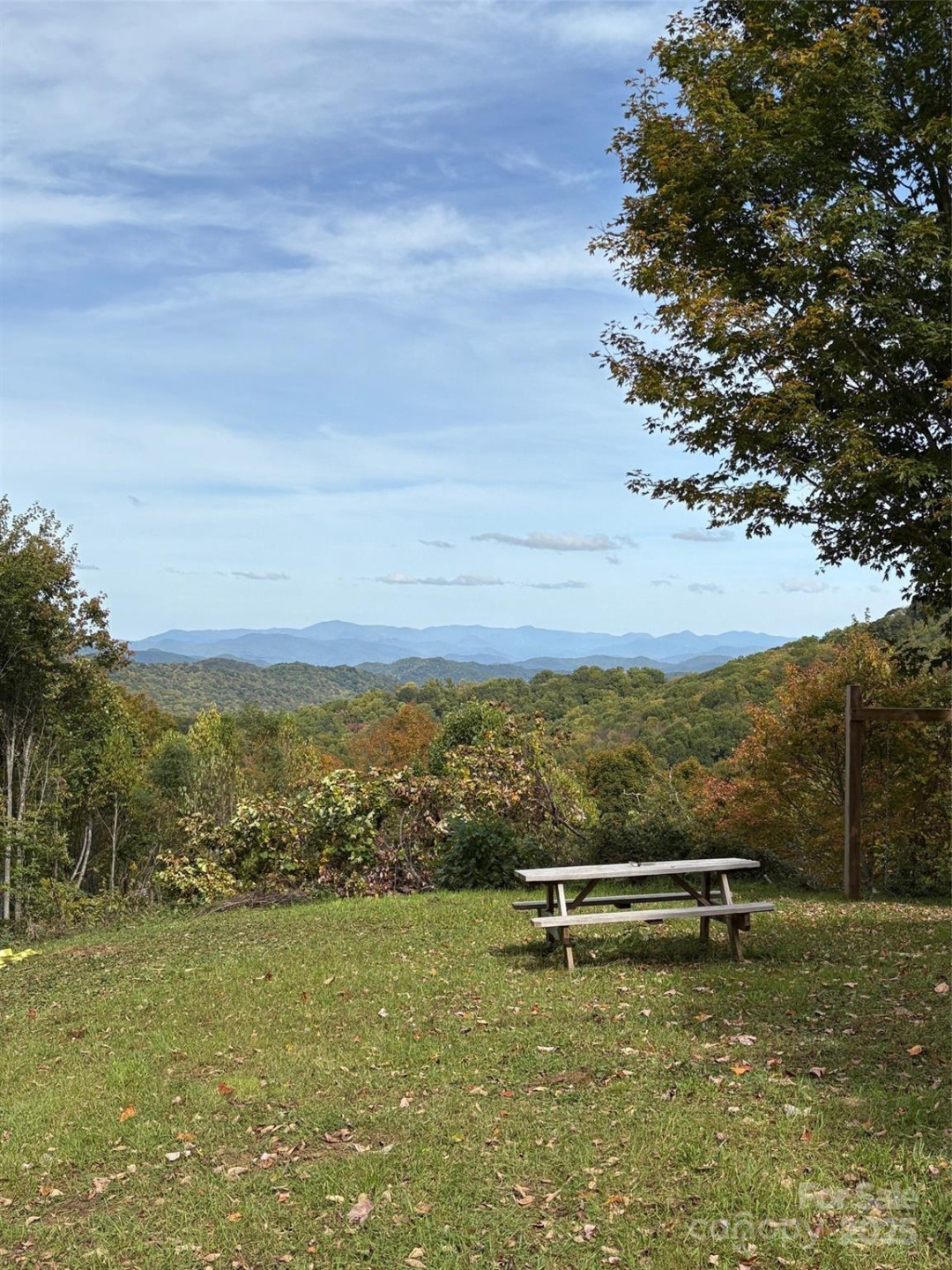 Tract 2 Turkey Trot Road - Photo 48