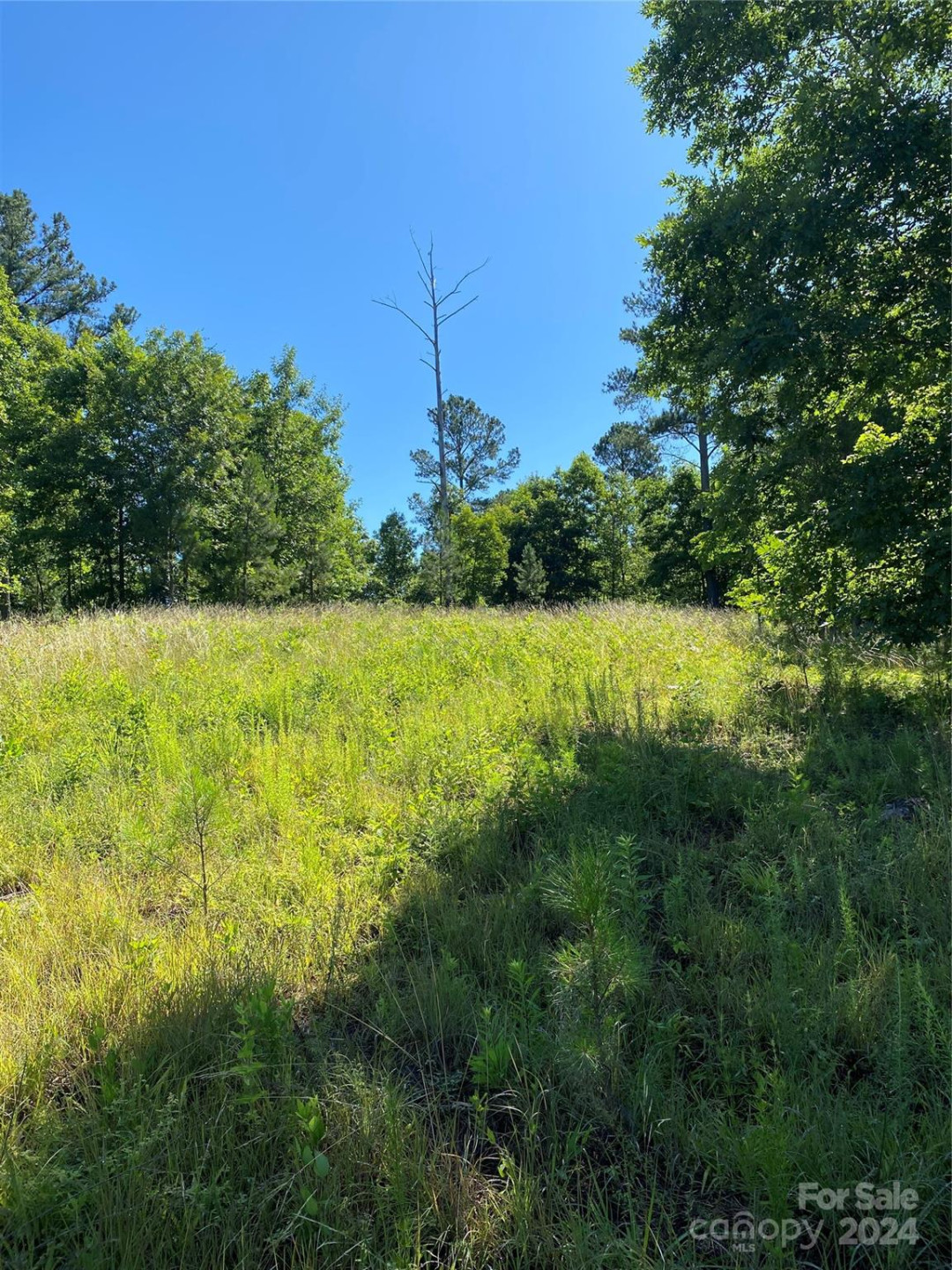 2108 Island View Lane - Photo 4