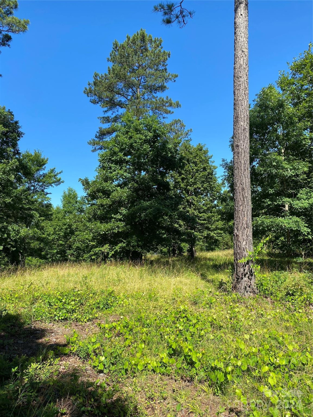 2108 Island View Lane - Photo 5