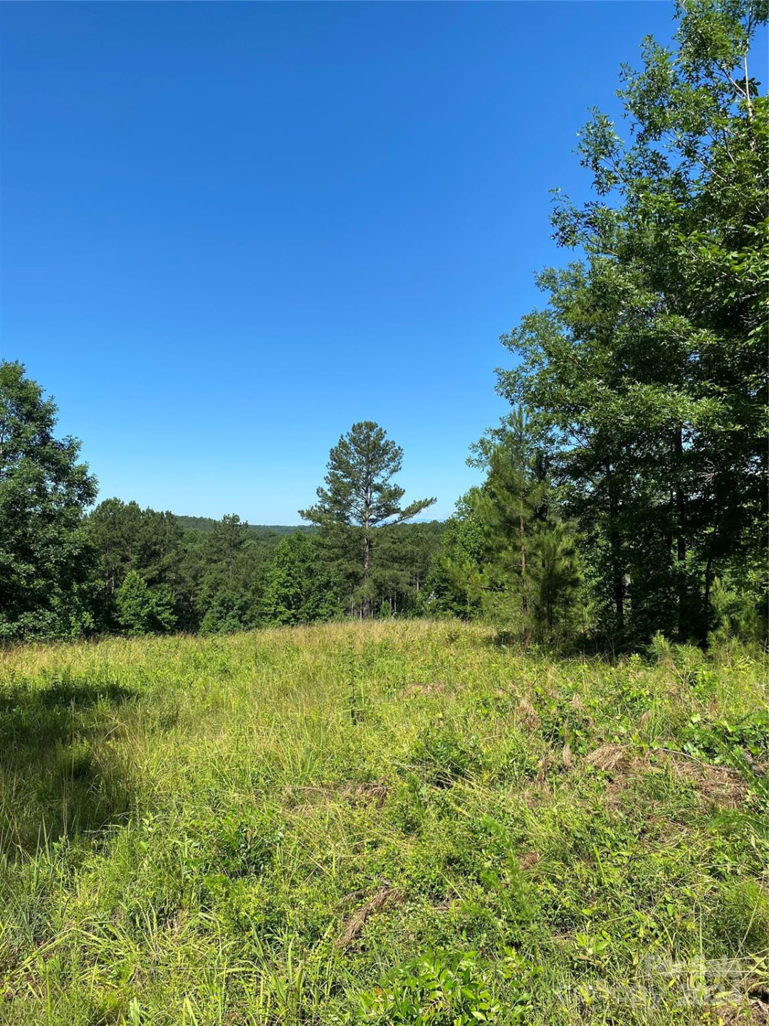 2108 Island View Lane - Photo 6