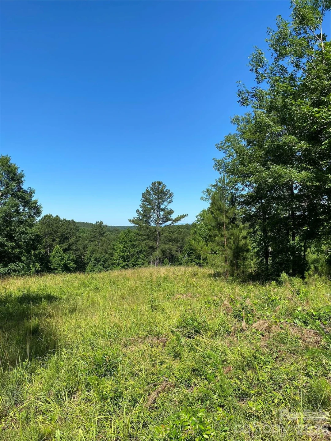 2108 Island View Lane - Photo 15
