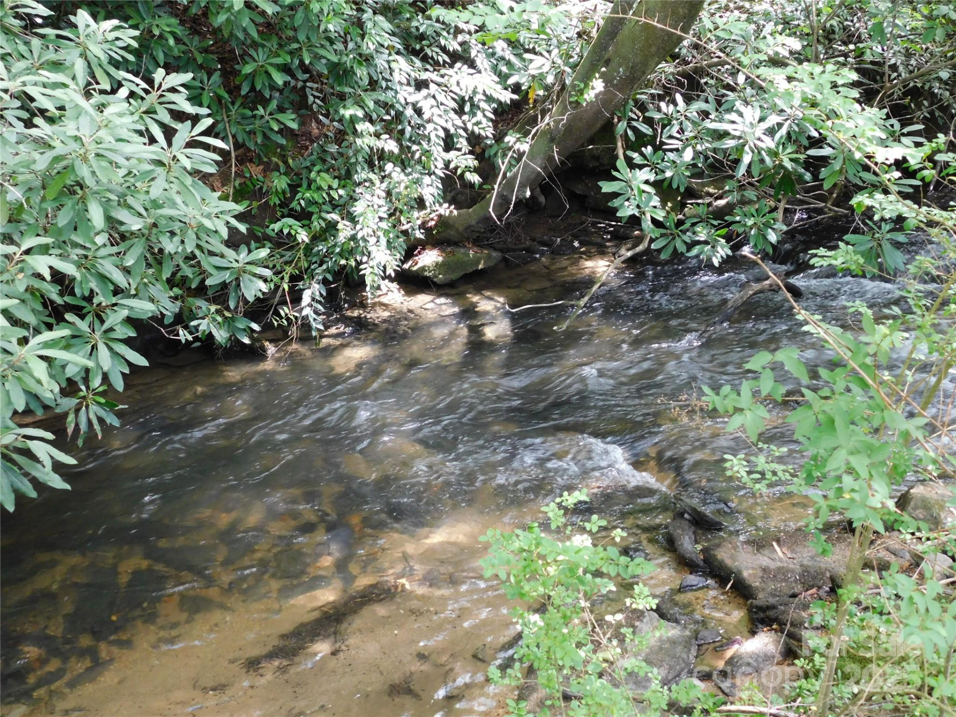 7320 Asheville Highway - Photo 4