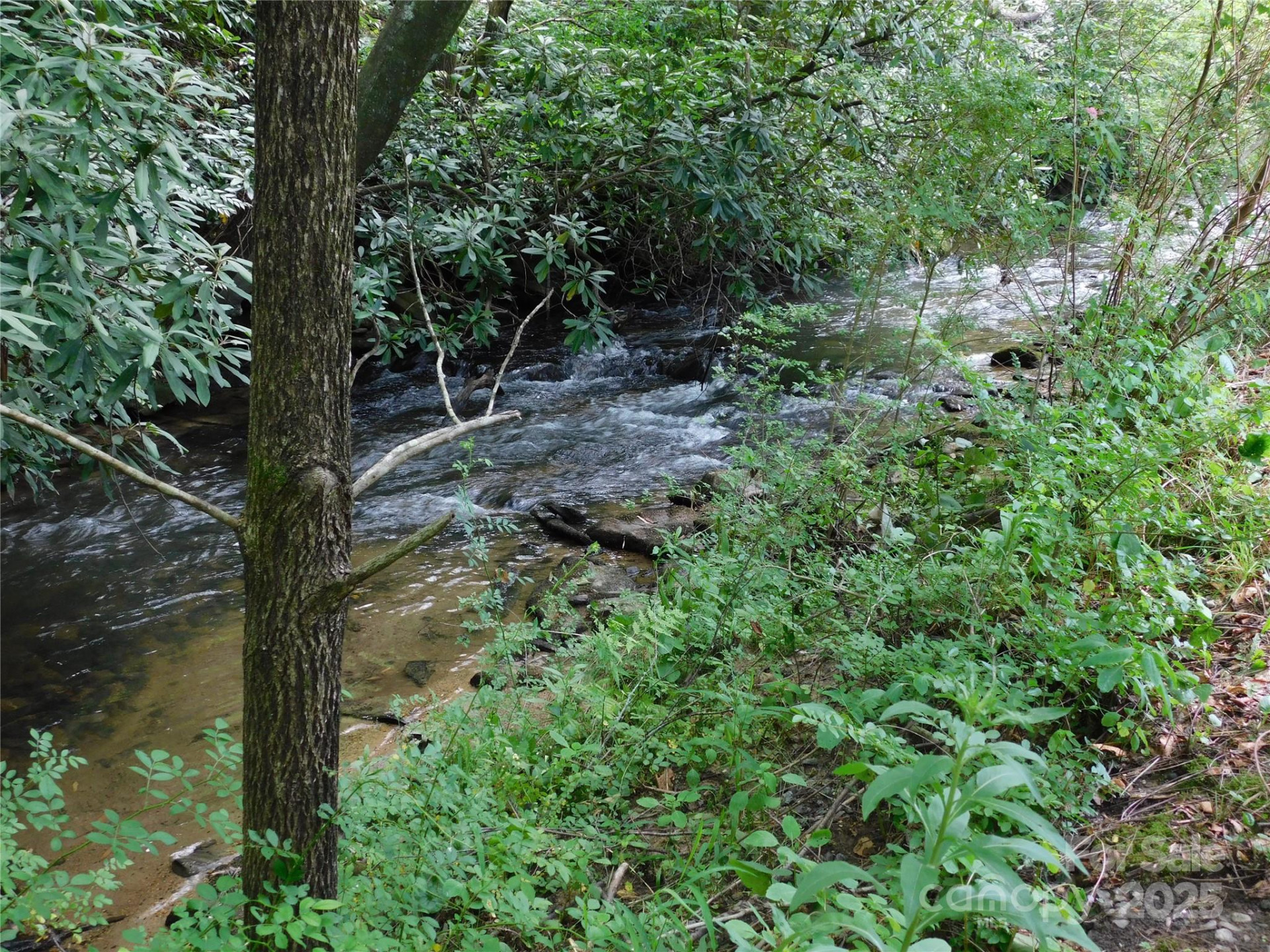 7320 Asheville Highway - Photo 5