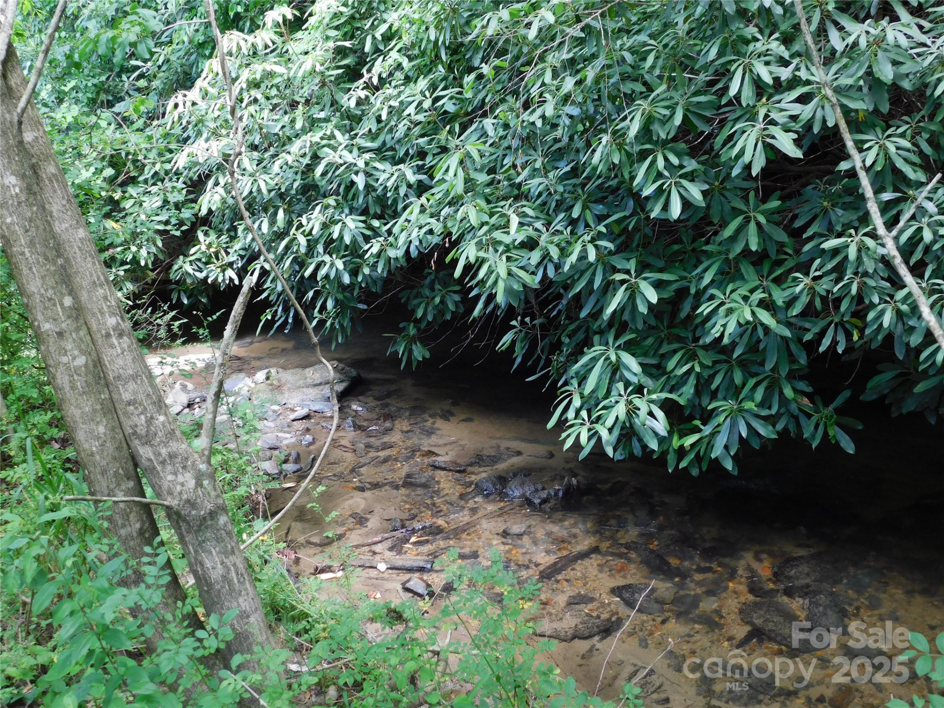 7320 Asheville Highway - Photo 6