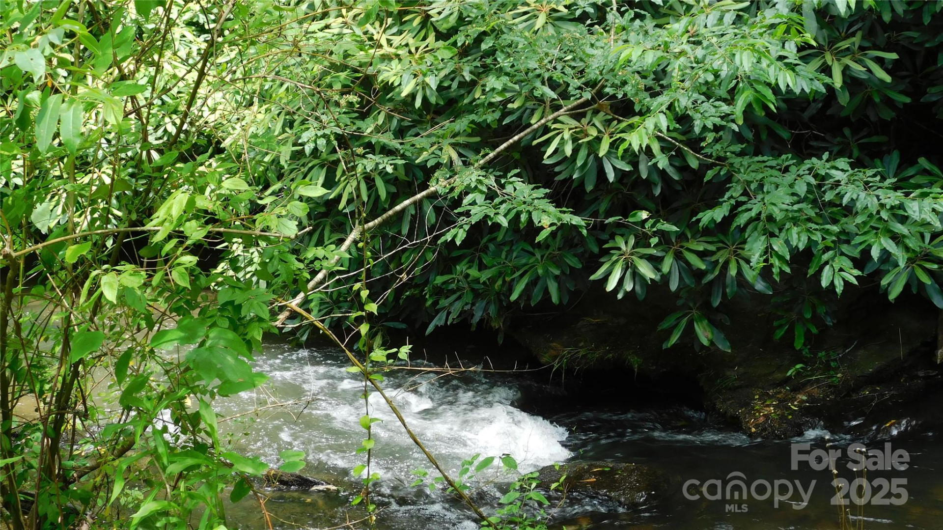 7320 Asheville Highway - Photo 7