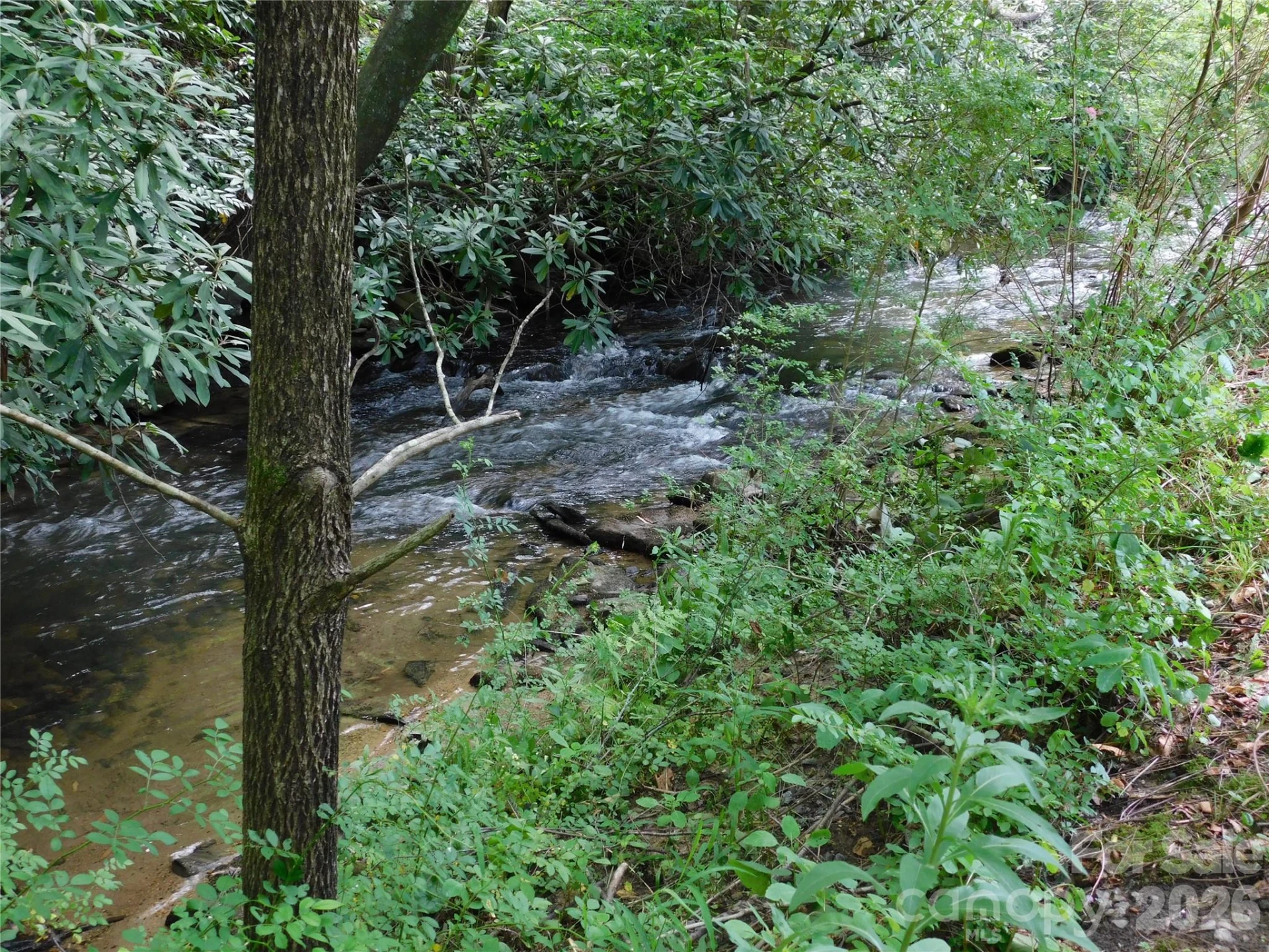7320 Asheville Highway - Photo 13