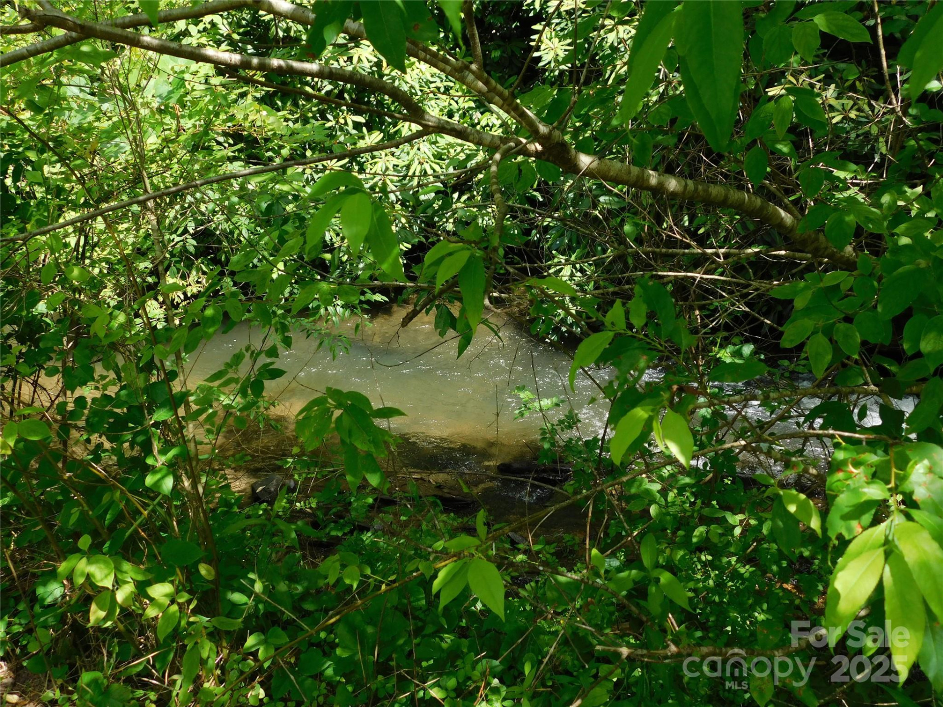 7320 Asheville Highway - Photo 8