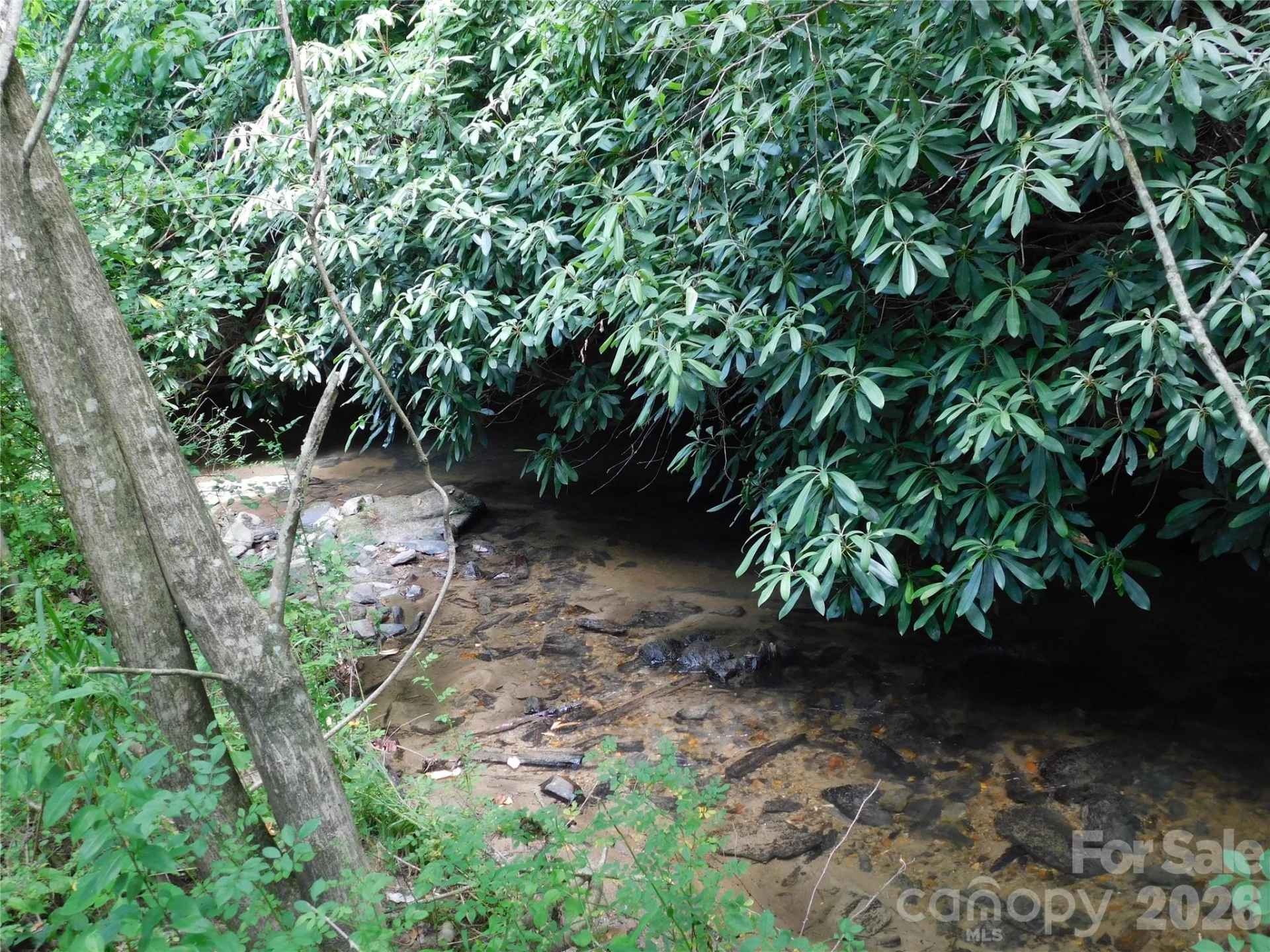 7320 Asheville Highway - Photo 15