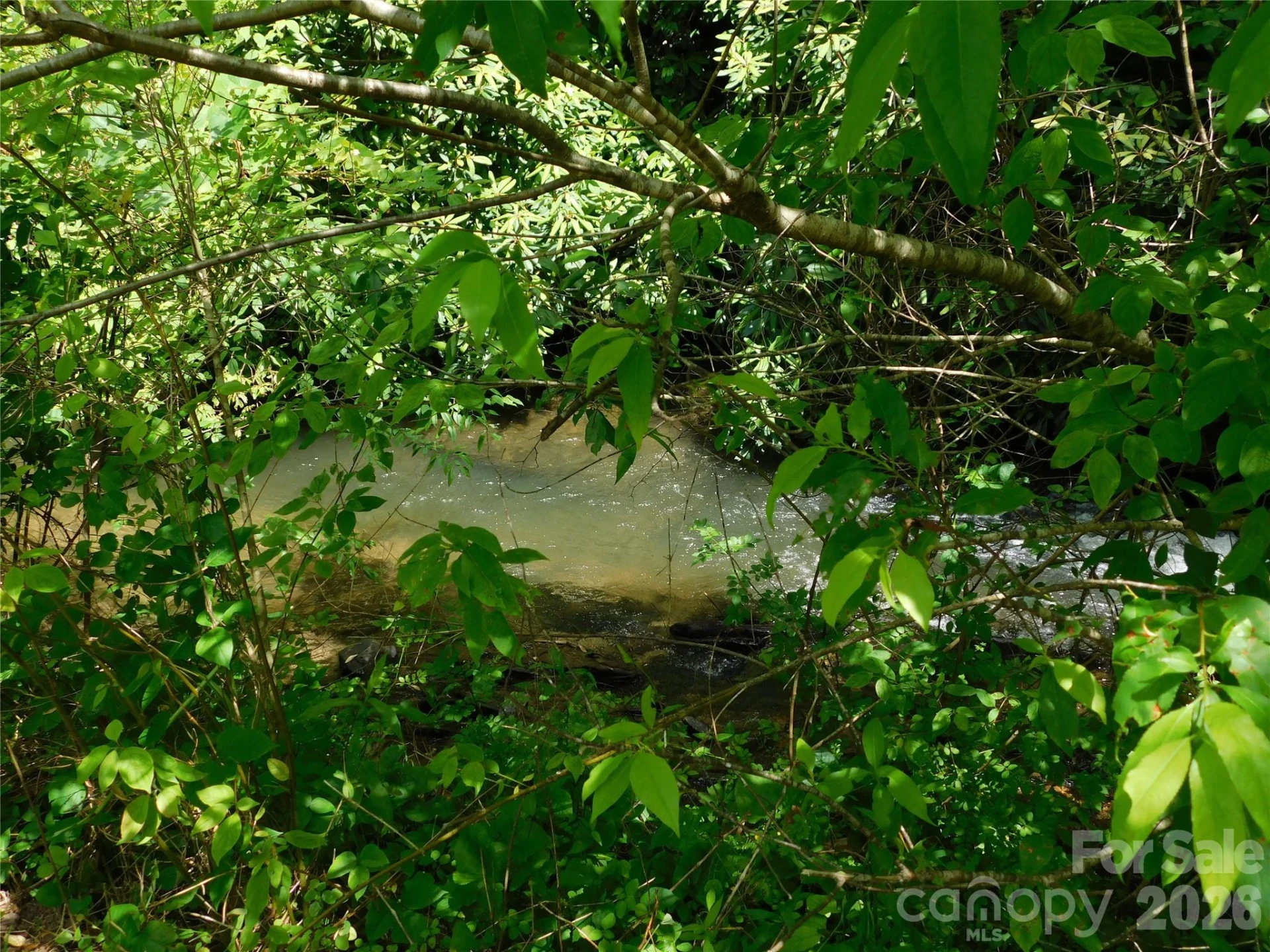 7320 Asheville Highway - Photo 19