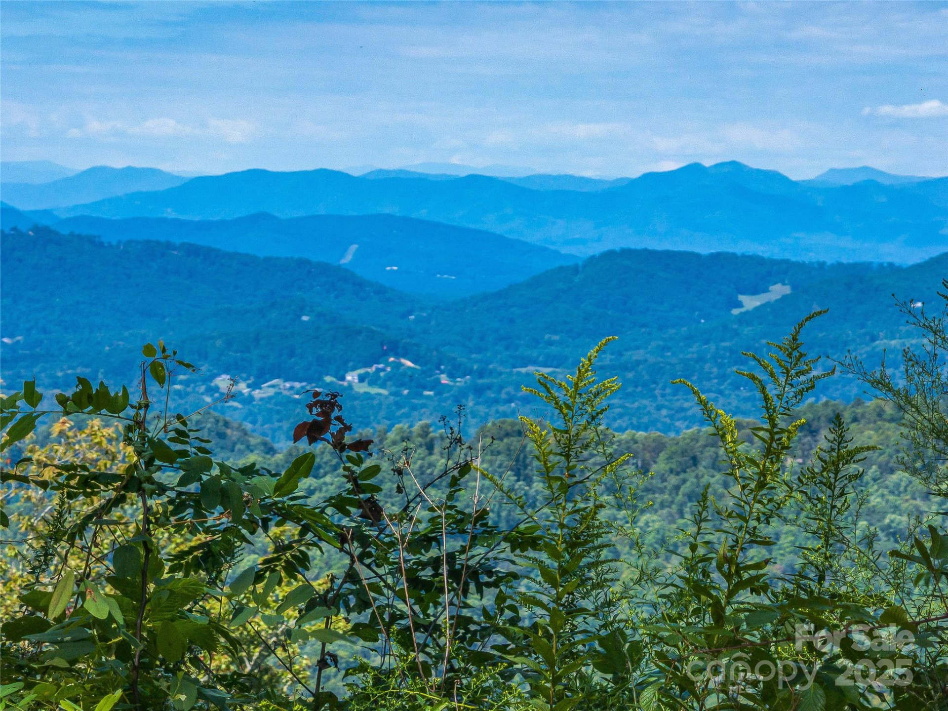 632 Justus Case Mountain Place - Photo 2