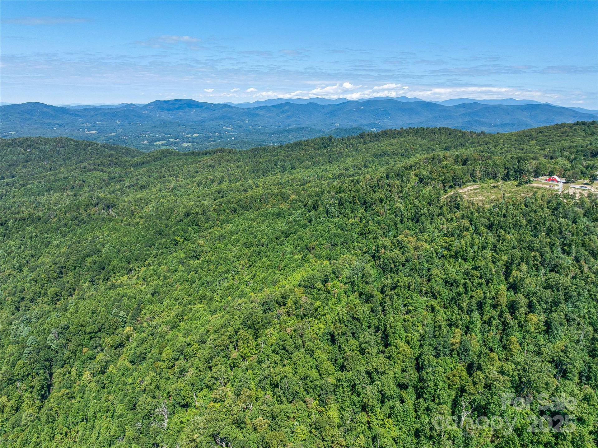 632 Justus Case Mountain Place - Photo 13