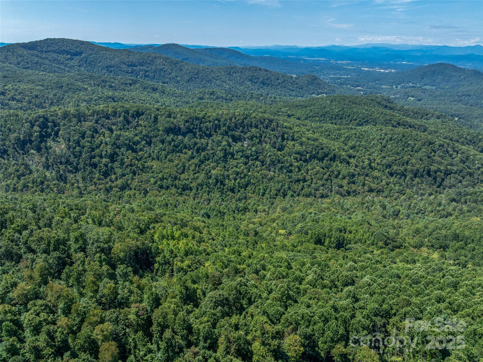 632 Justus Case Mountain Place - Photo 17