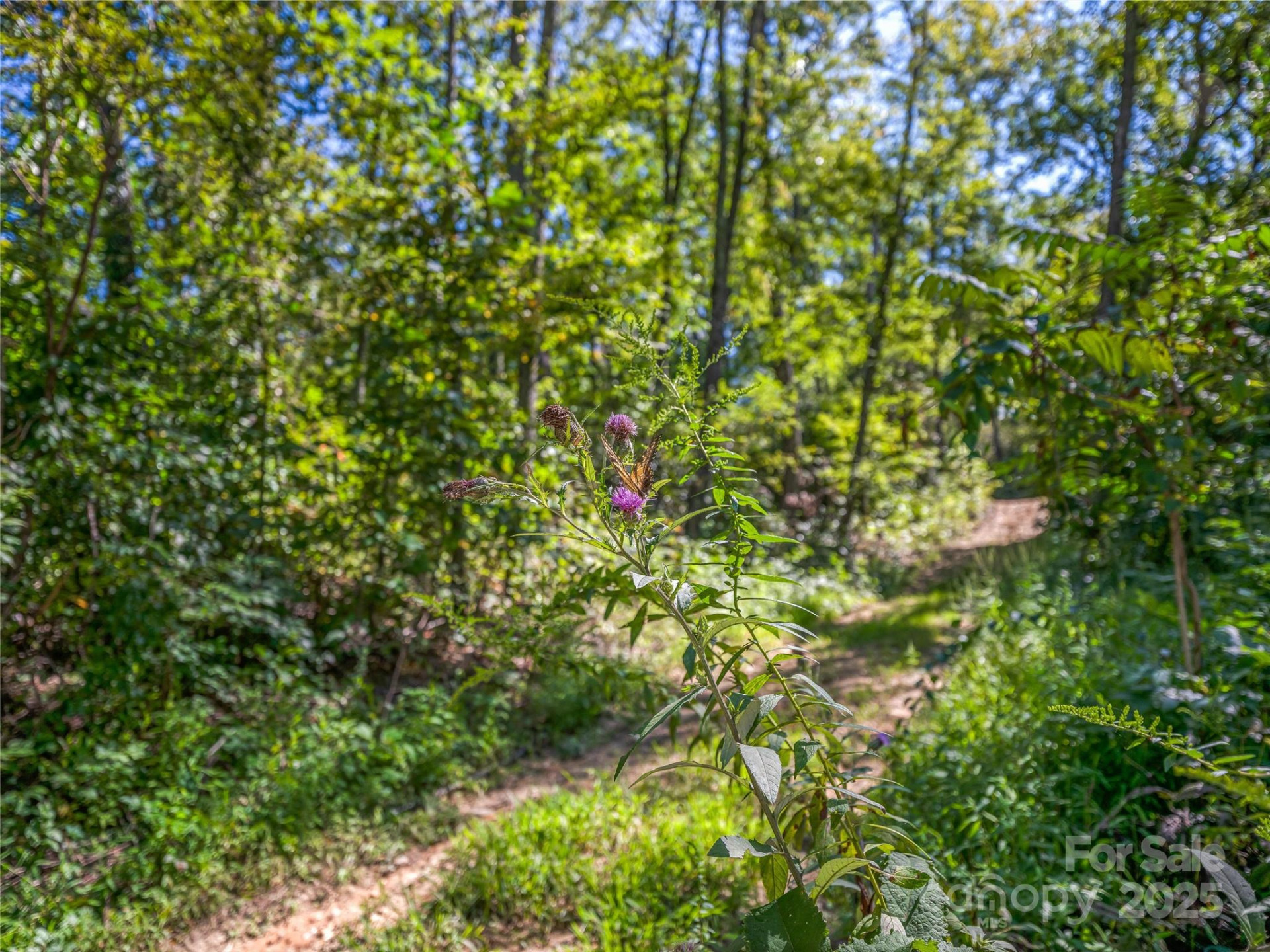 632 Justus Case Mountain Place - Photo 18