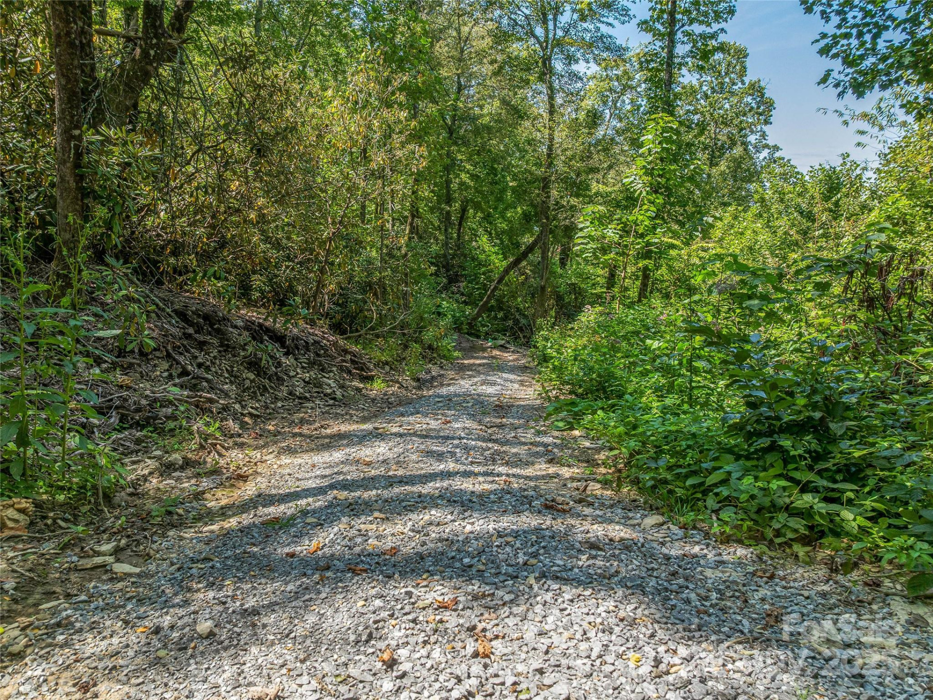 632 Justus Case Mountain Place - Photo 19