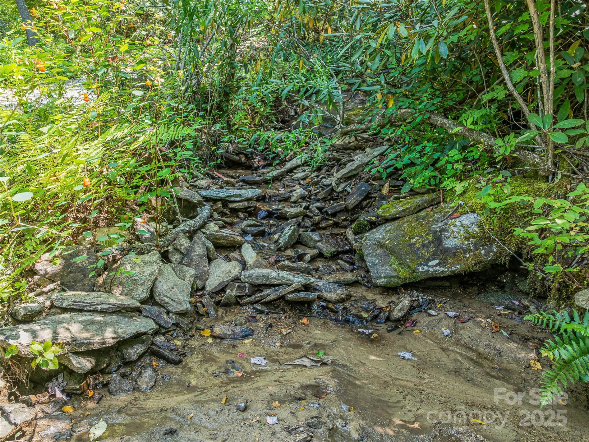 632 Justus Case Mountain Place - Photo 20