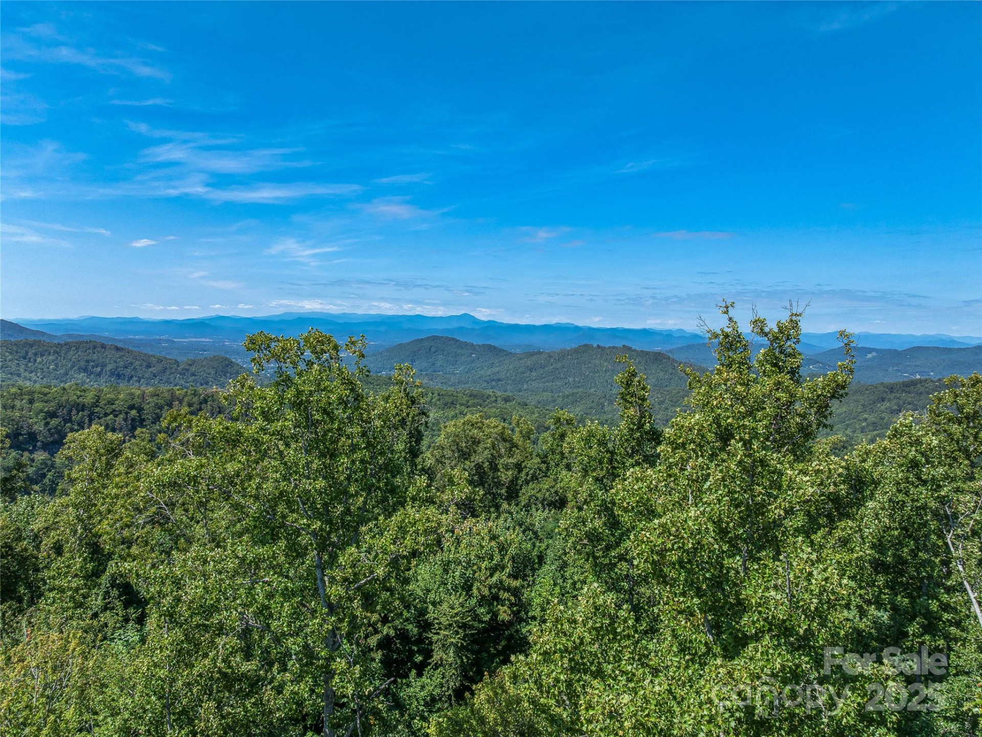 632 Justus Case Mountain Place - Photo 3