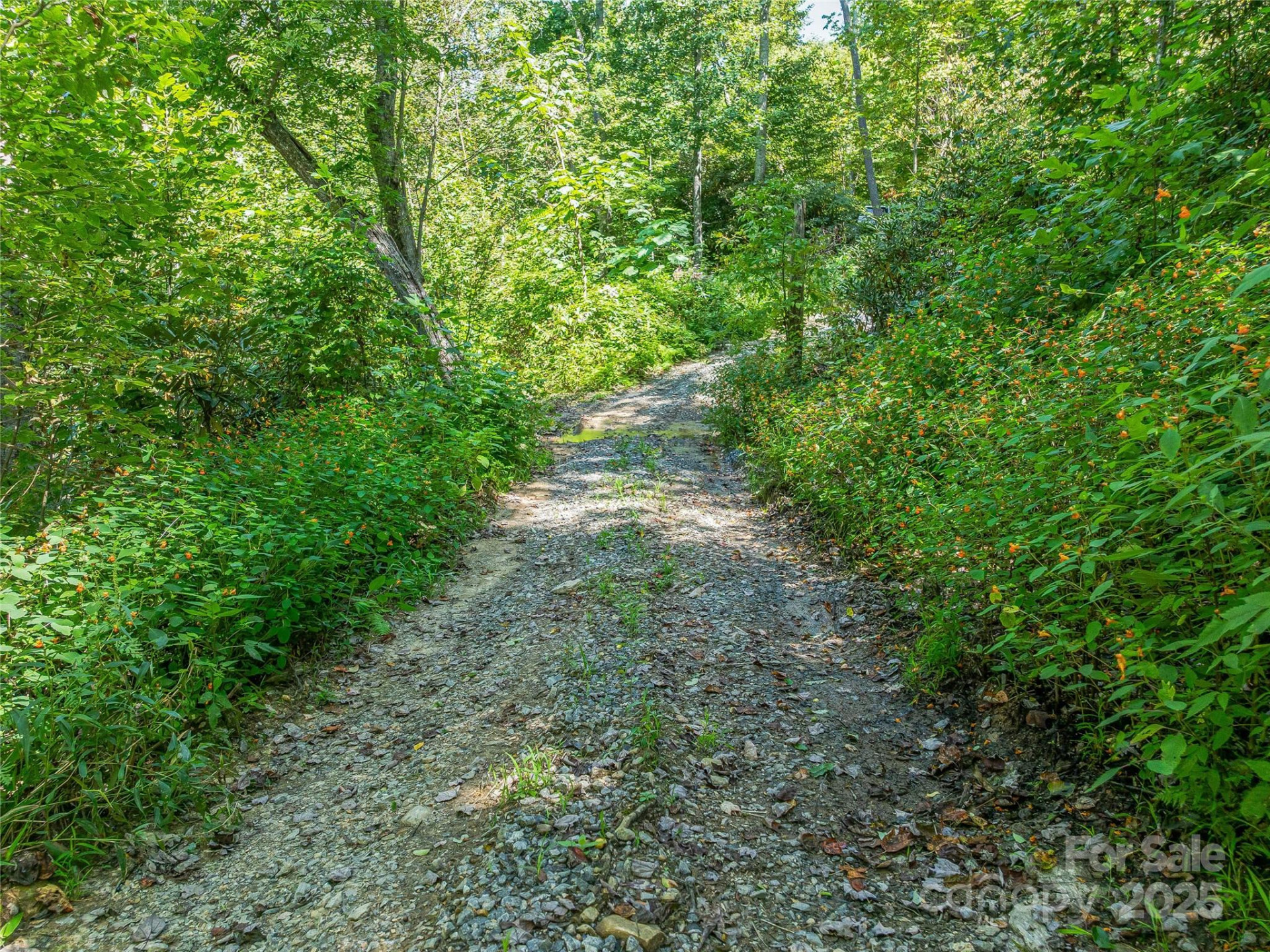 632 Justus Case Mountain Place - Photo 21