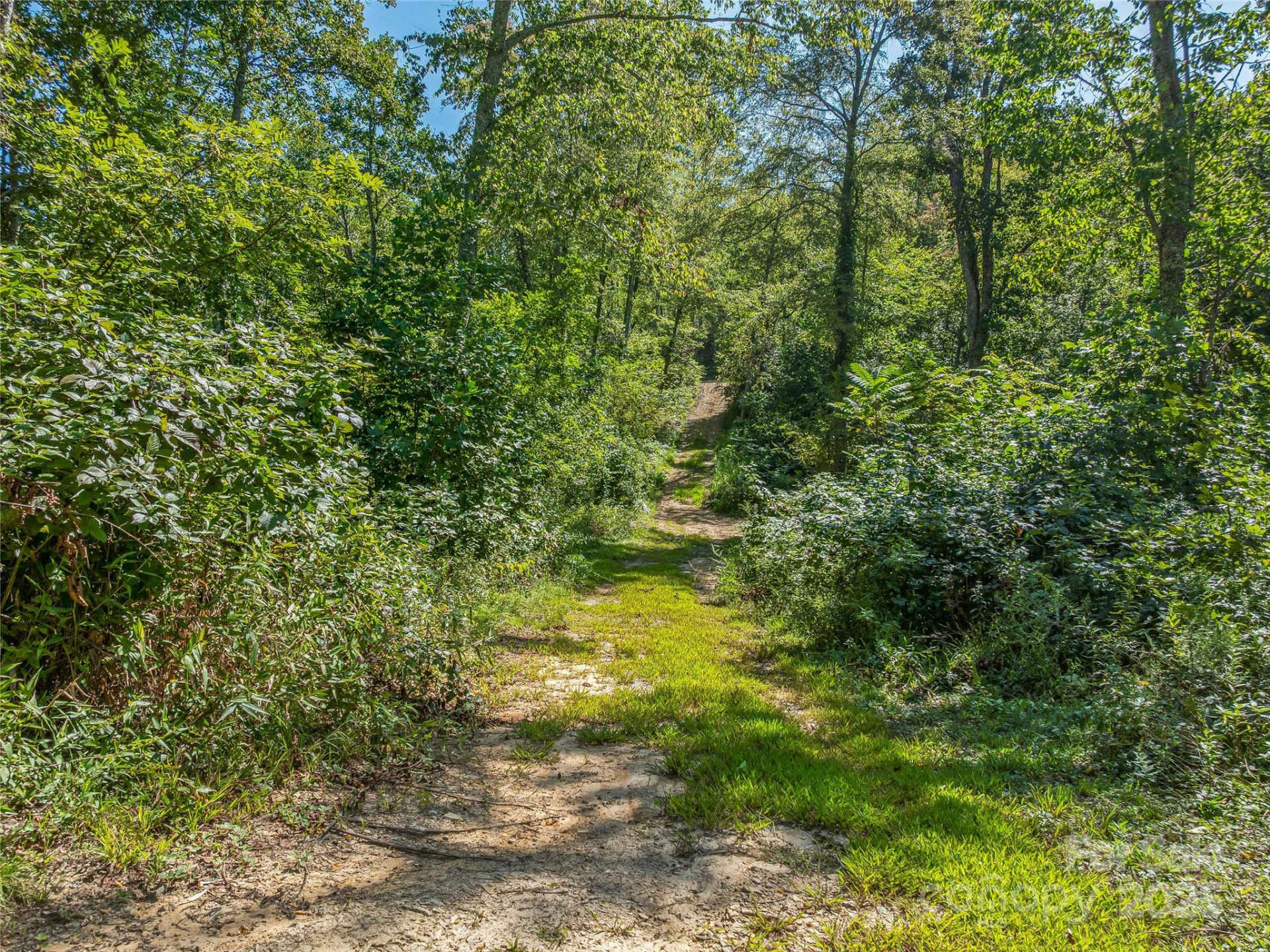 632 Justus Case Mountain Place - Photo 26