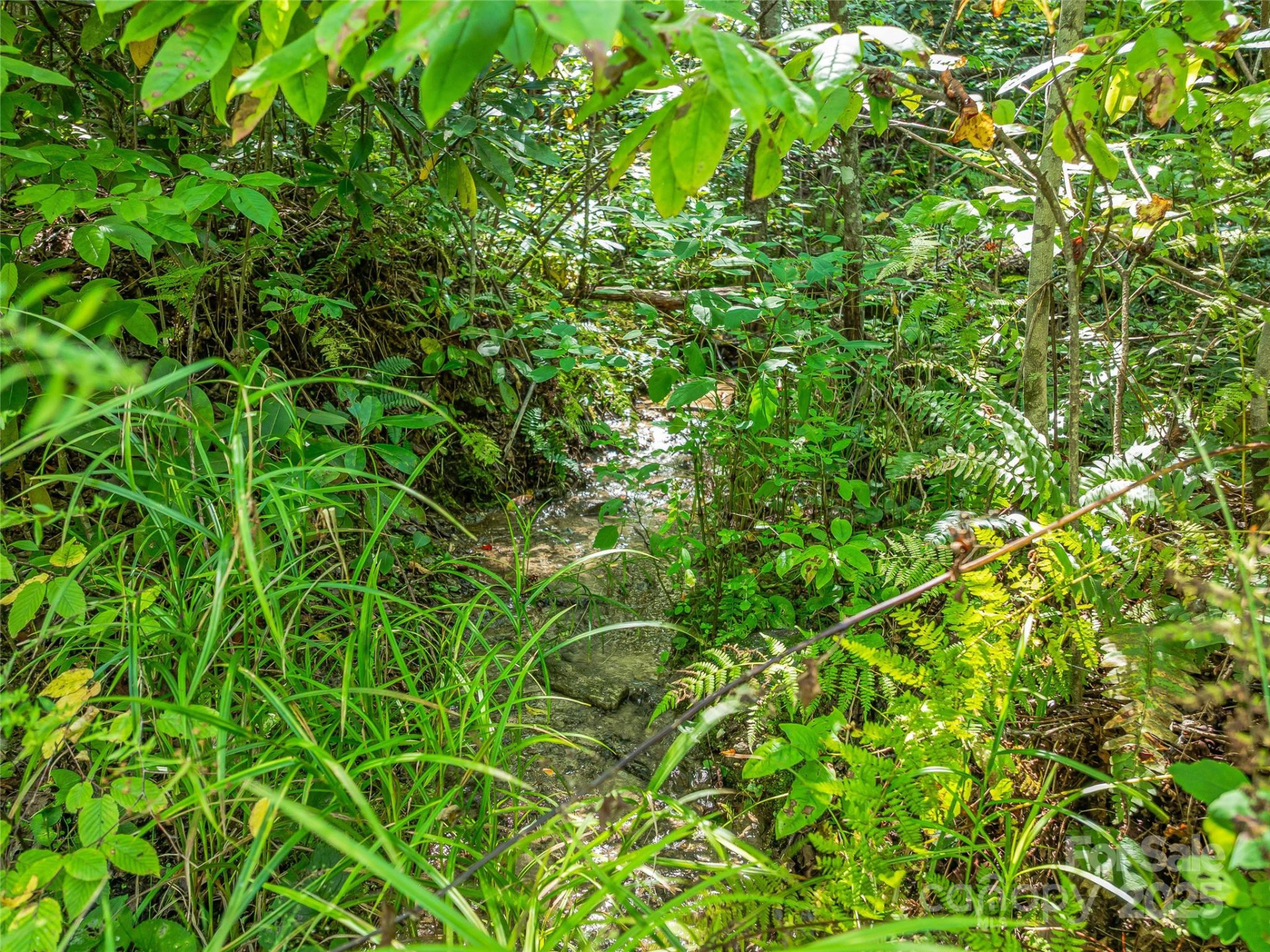 632 Justus Case Mountain Place - Photo 27