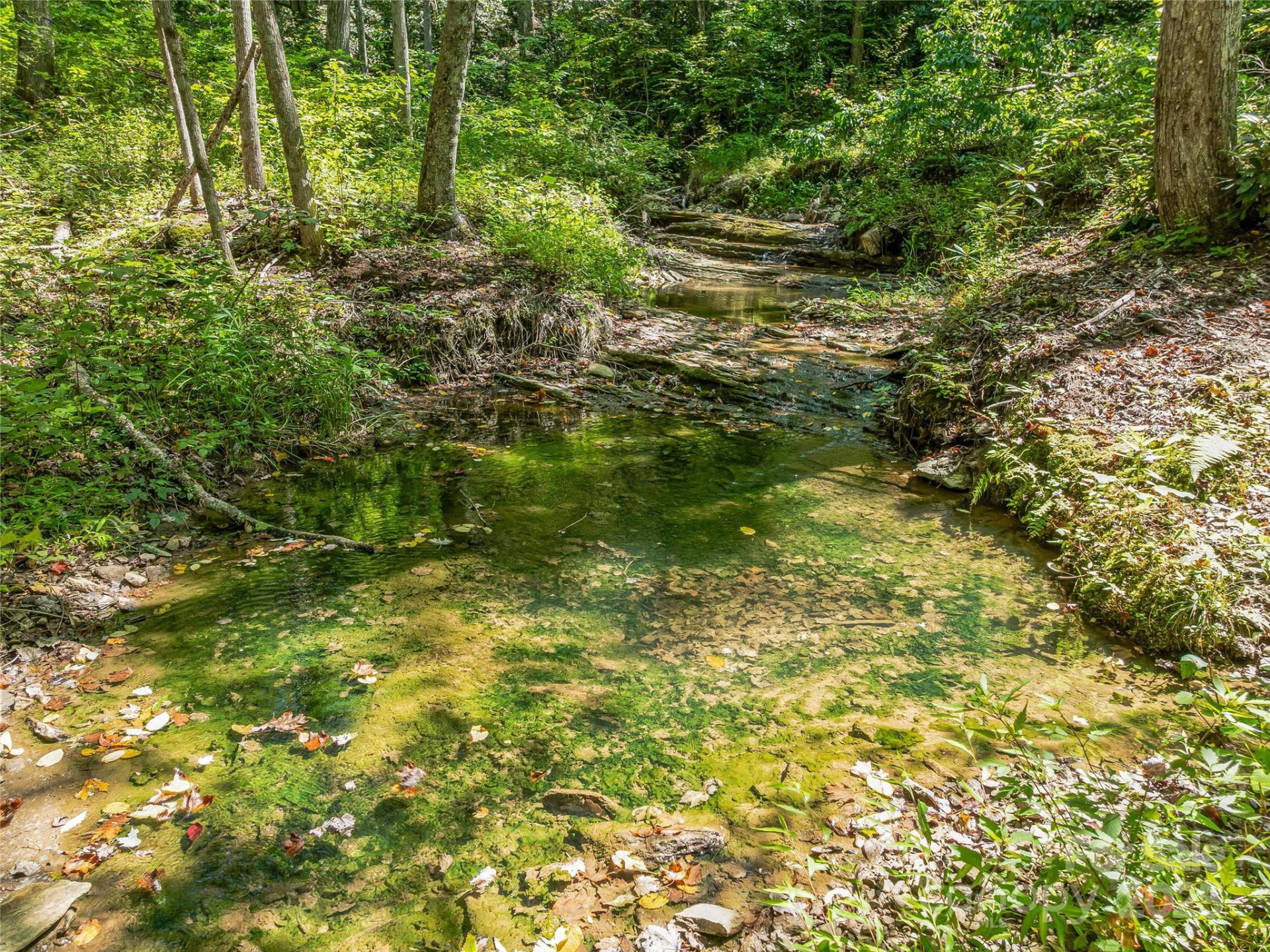 632 Justus Case Mountain Place - Photo 28