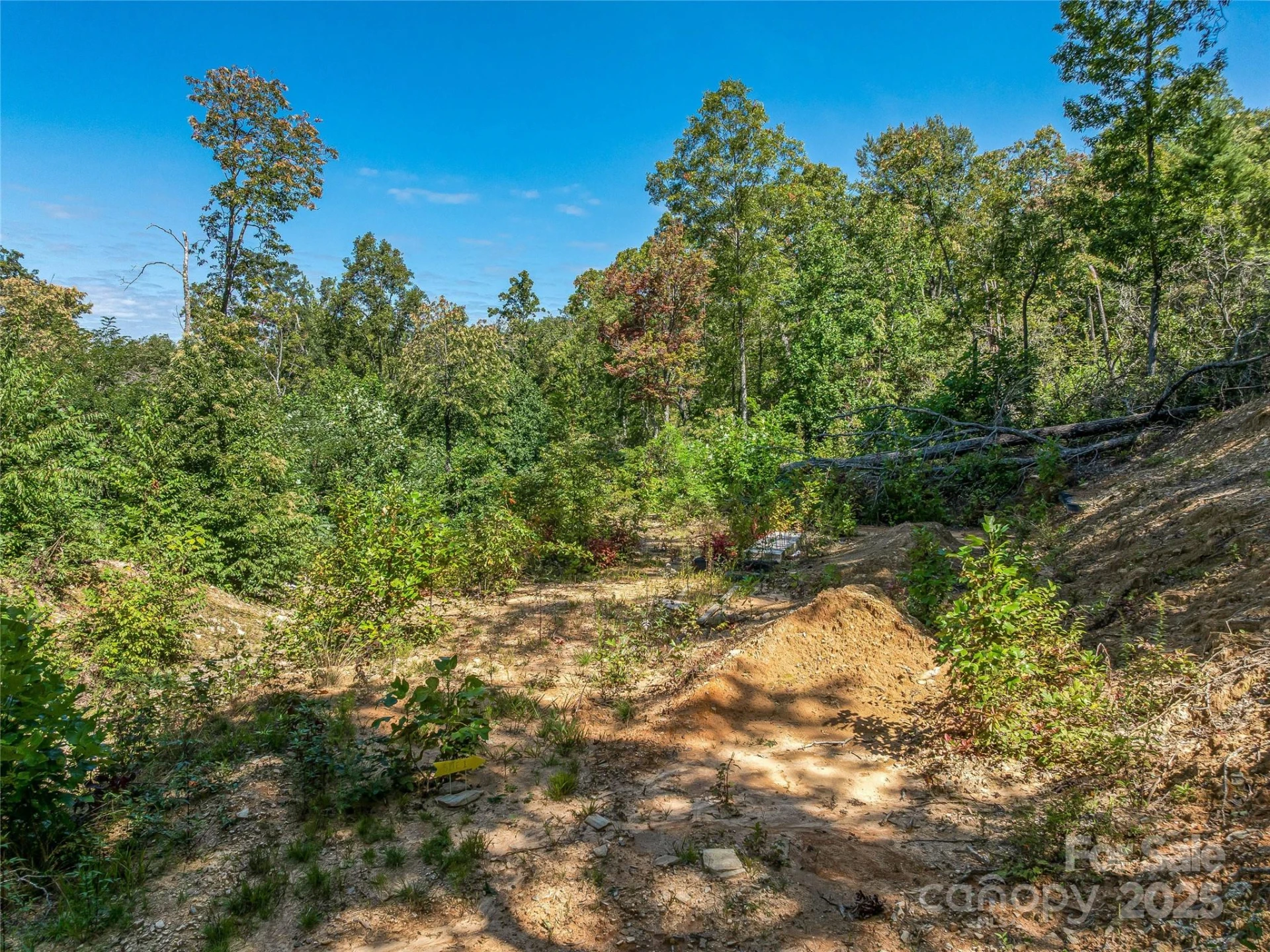 632 Justus Case Mountain Place - Photo 30