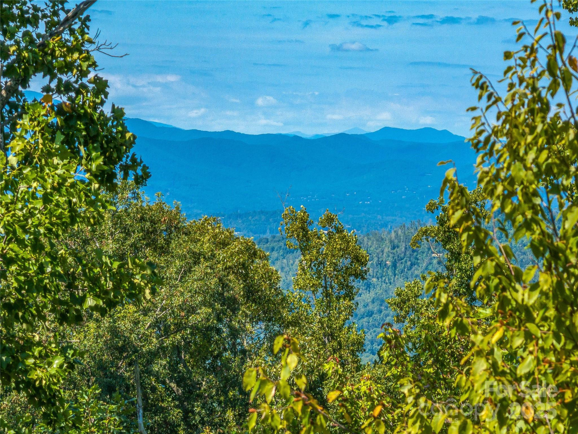 632 Justus Case Mountain Place - Photo 4