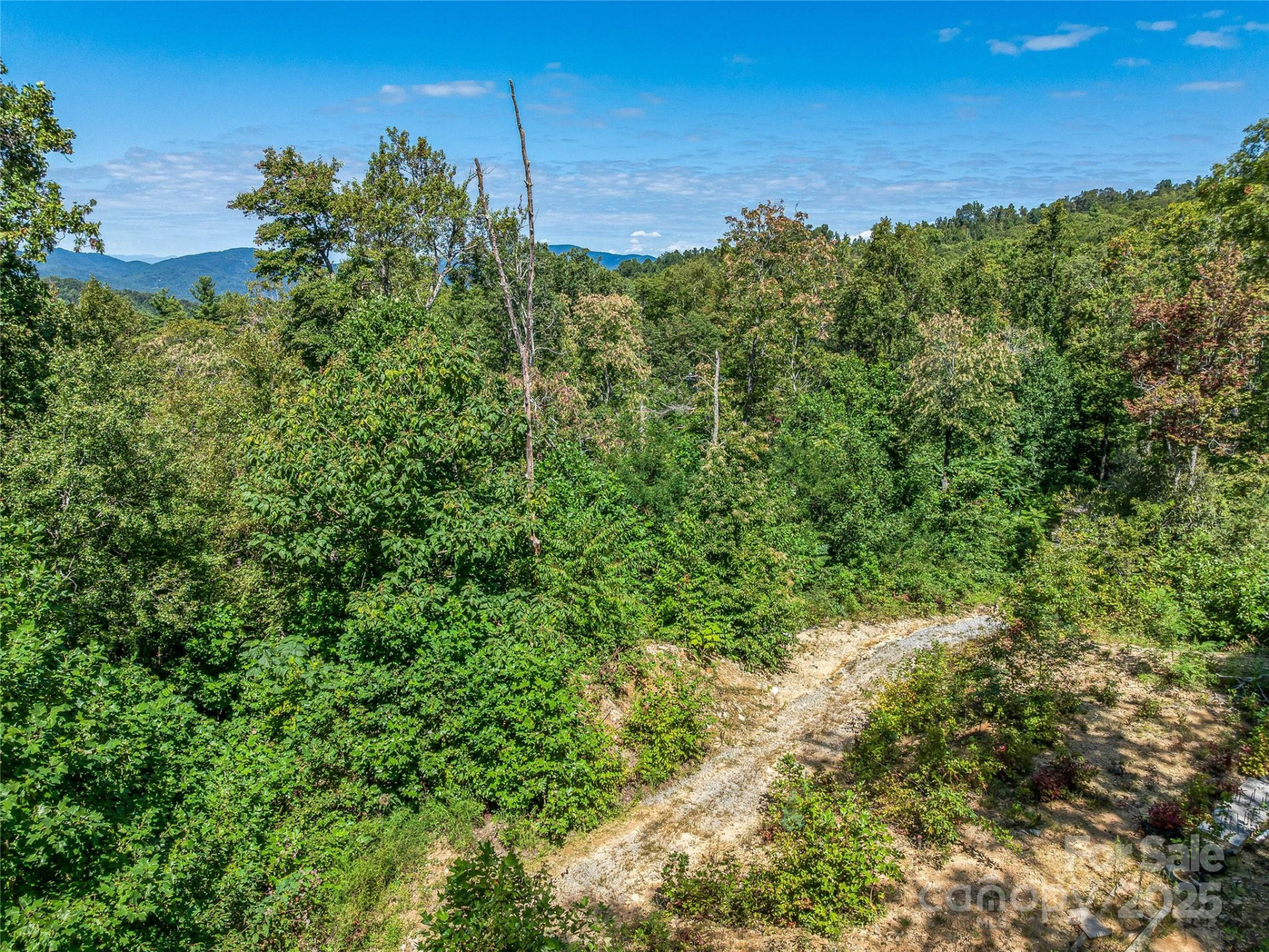 632 Justus Case Mountain Place - Photo 31